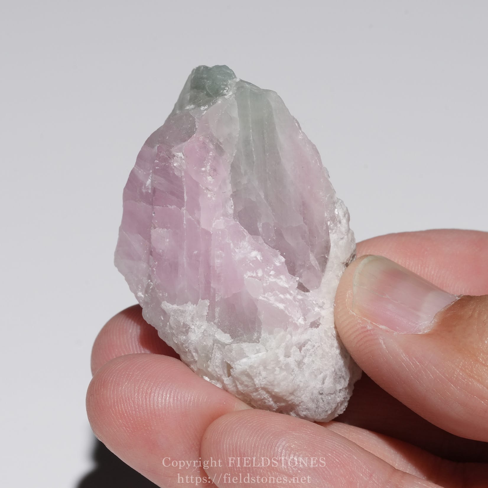 6652-1 - FieldStones Close-up of a rough pink quartz crystal held between fingers, with a small green mineral at the top (rose quartz with a green cap).