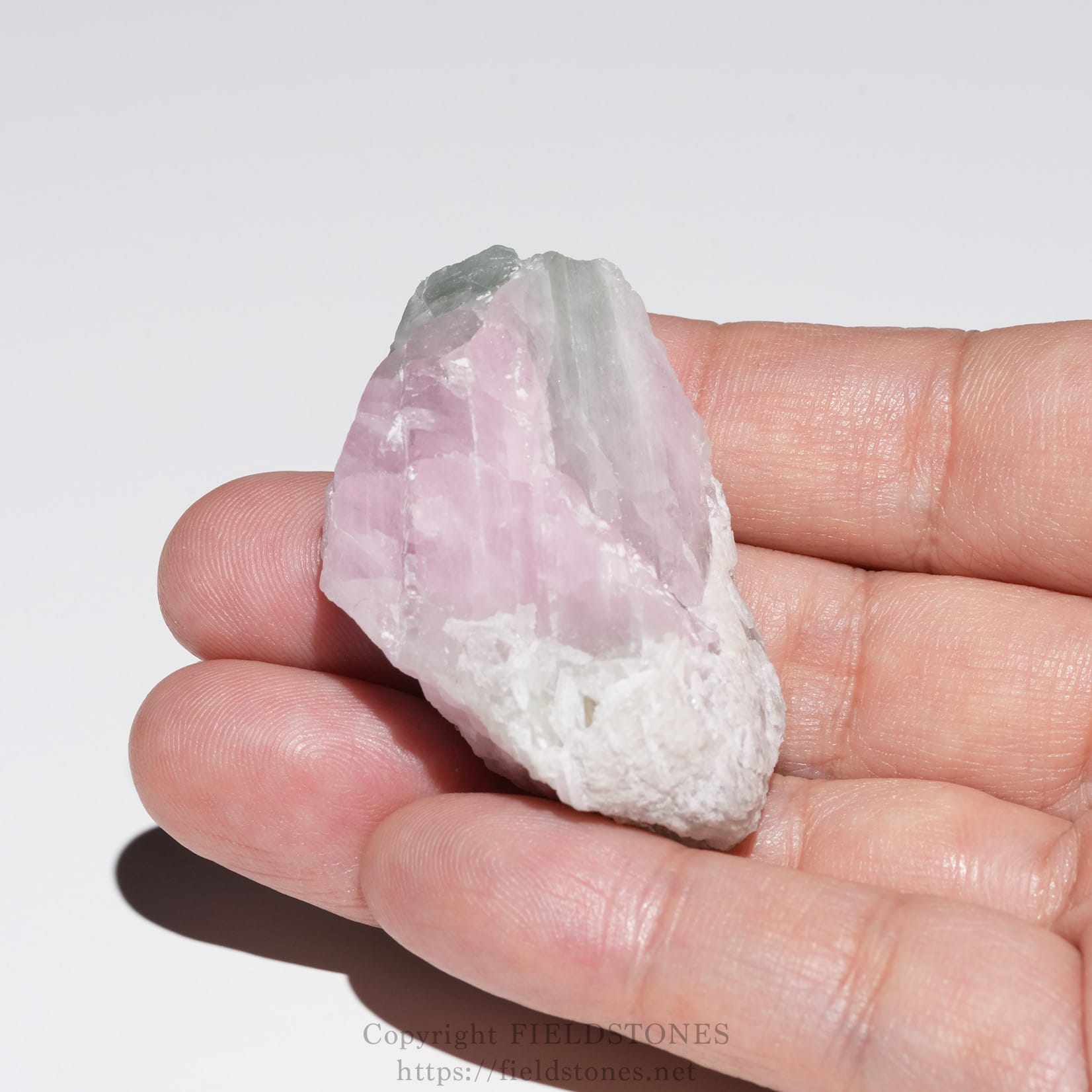 6652-11 - FieldStones Close-up of a rough pink rose quartz crystal held between fingertips against a light background