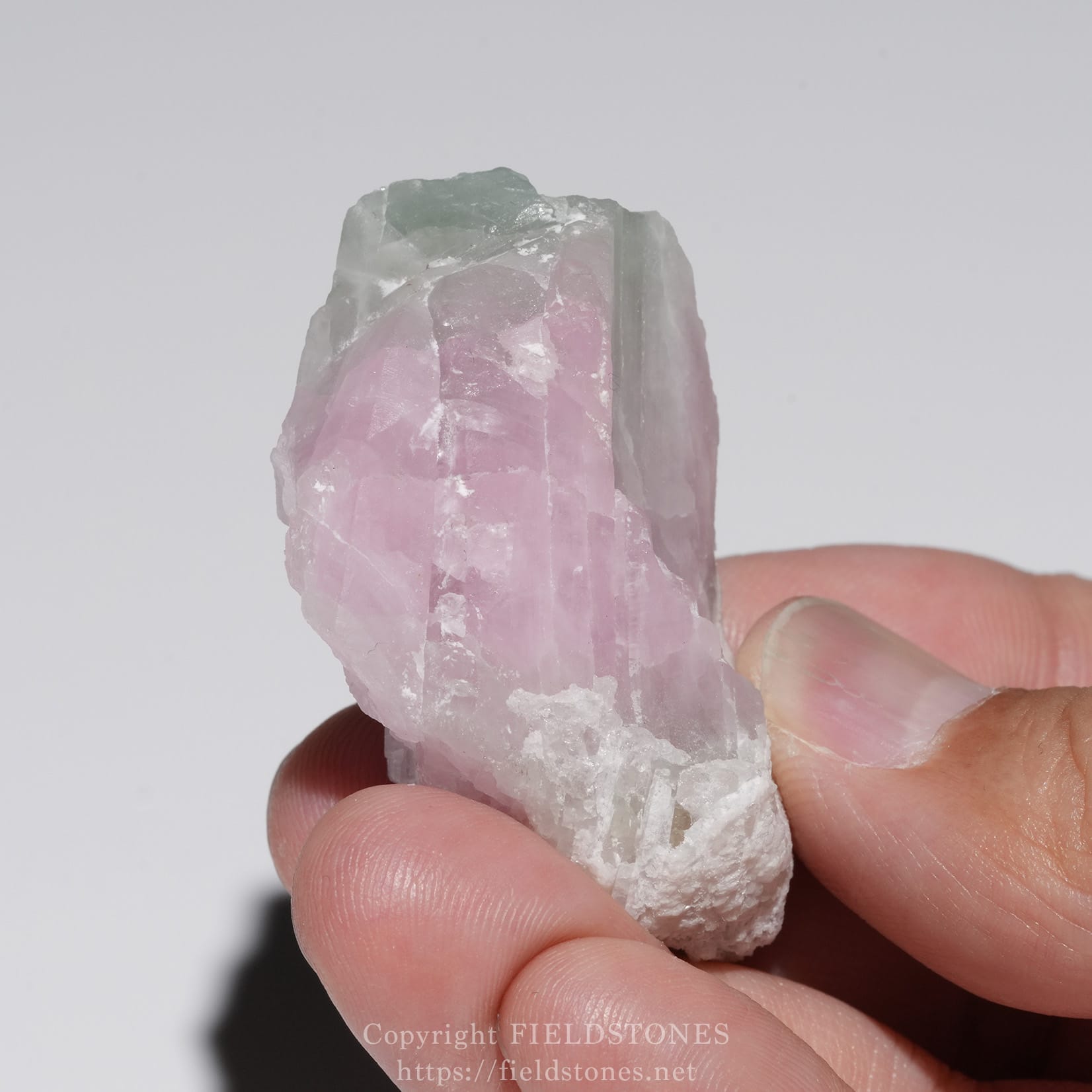 6652-2 - FieldStones Pink quartz crystal held between fingertips, with a pale green cap at the tip against a white background