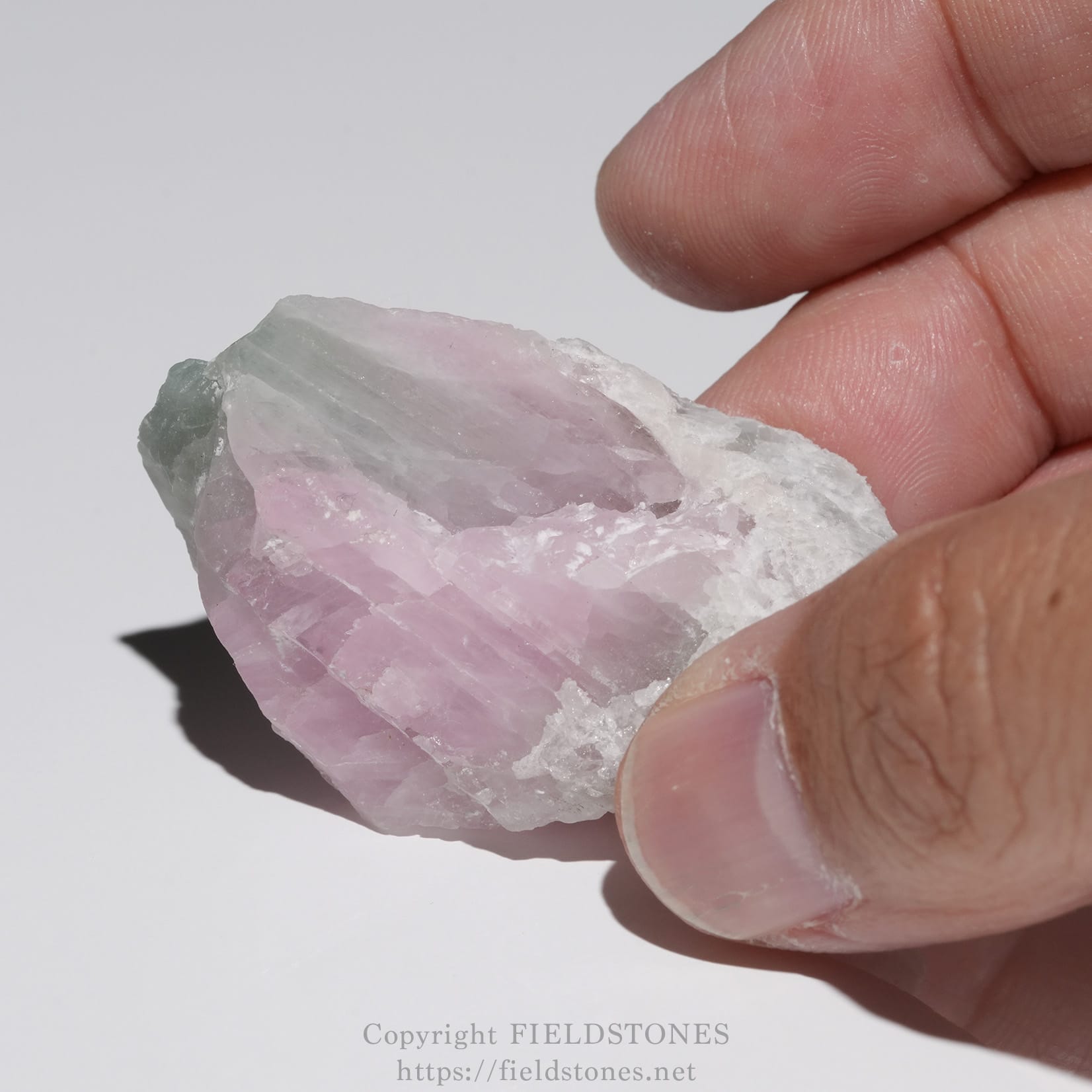 6652-3 - FieldStones Hand holding a rough pink rose quartz crystal between the fingers.