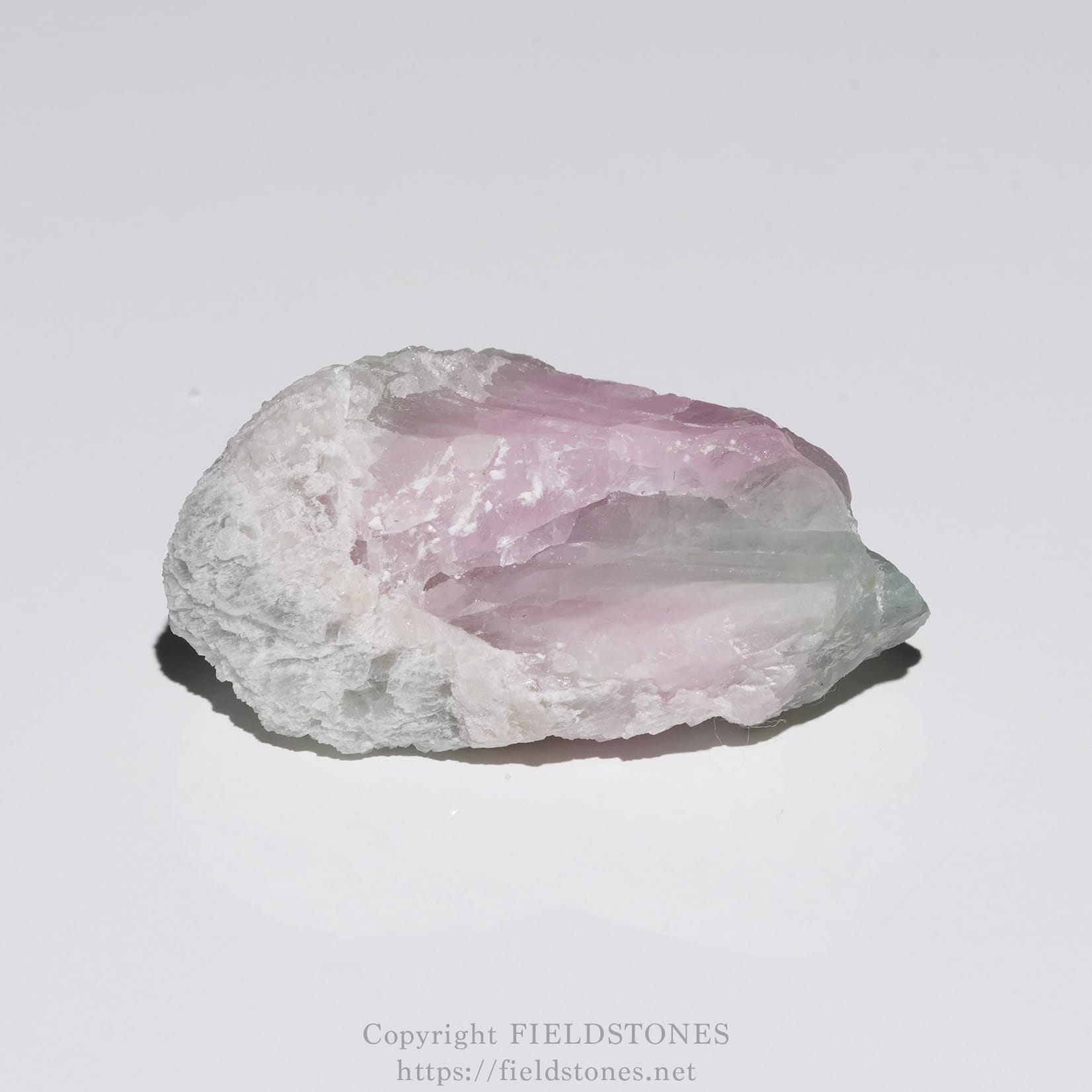 6652-4 - FieldStones Rough rhodochrosite crystal showing pink and white bands on a white background.