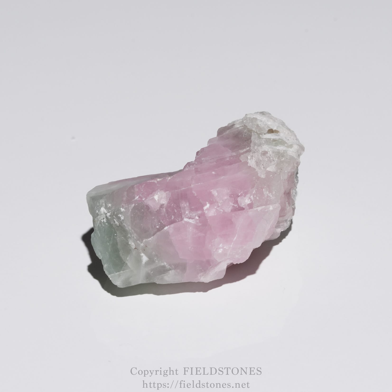6652-6 - FieldStones Pink rose-quartz crystal cluster with white edges on a white background, showing rough translucent surfaces.