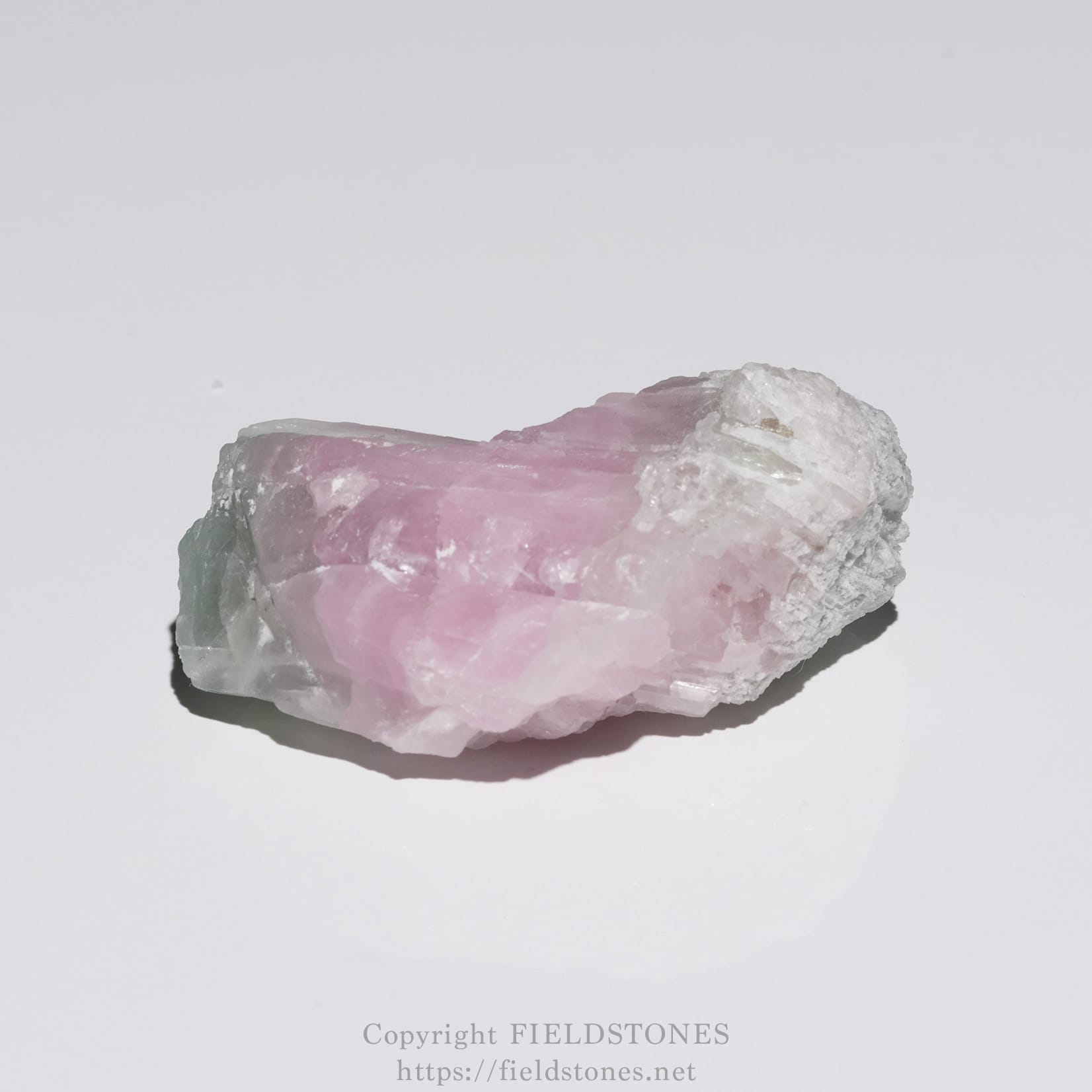 6652-7 - FieldStones Pink rose quartz crystal on a white background, rough and unpolished with white matrix nearby.