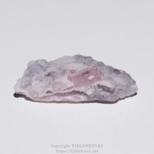 Pink prismatic crystal embedded in a pale purple rock matrix on a white background