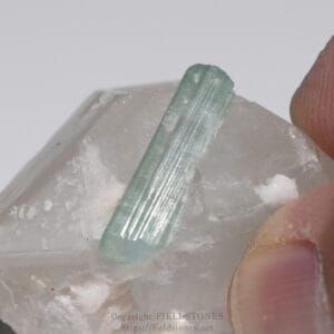 Close-up of a pale green elongated crystal (tourmaline) embedded in a white quartz matrix, held by fingers.