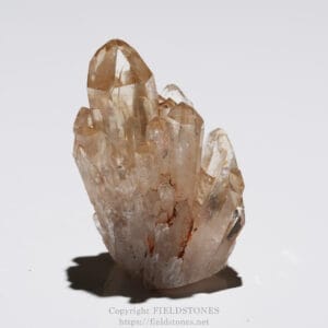 Cluster of smoky brown quartz crystals on a white background, showcasing sharp facets and translucence.
