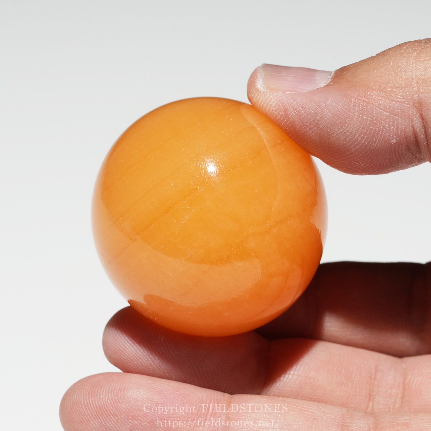 6676-4 - FieldStones Close-up of fingertips pinching an orange ping-pong ball on a light background.