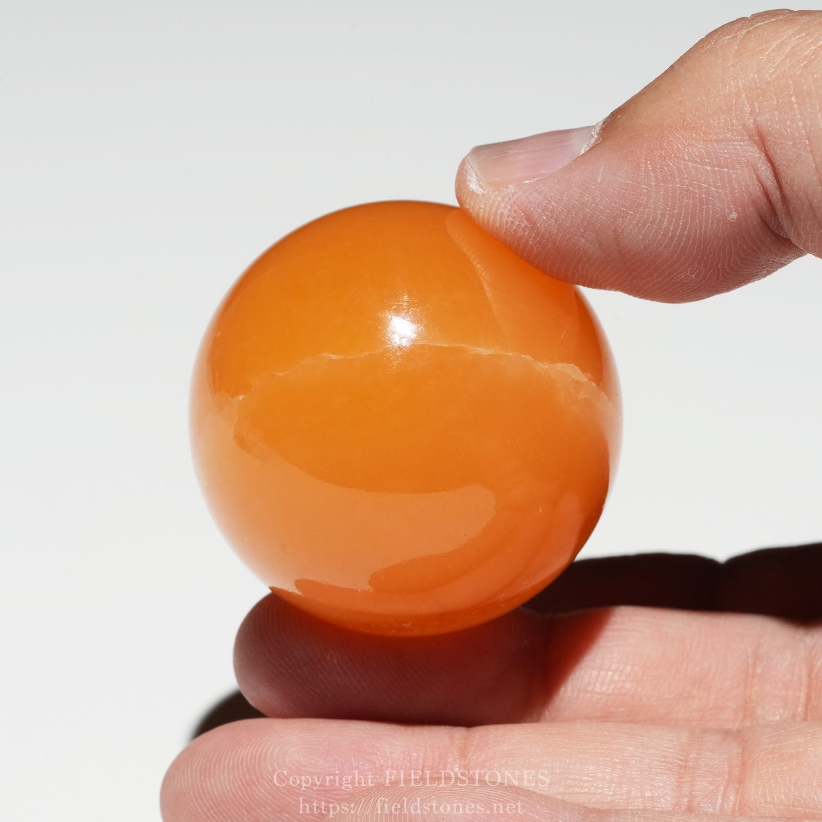 6678-4 - FieldStones Close-up of a glossy orange ball being pinched between a thumb and forefinger against a white background corporate.