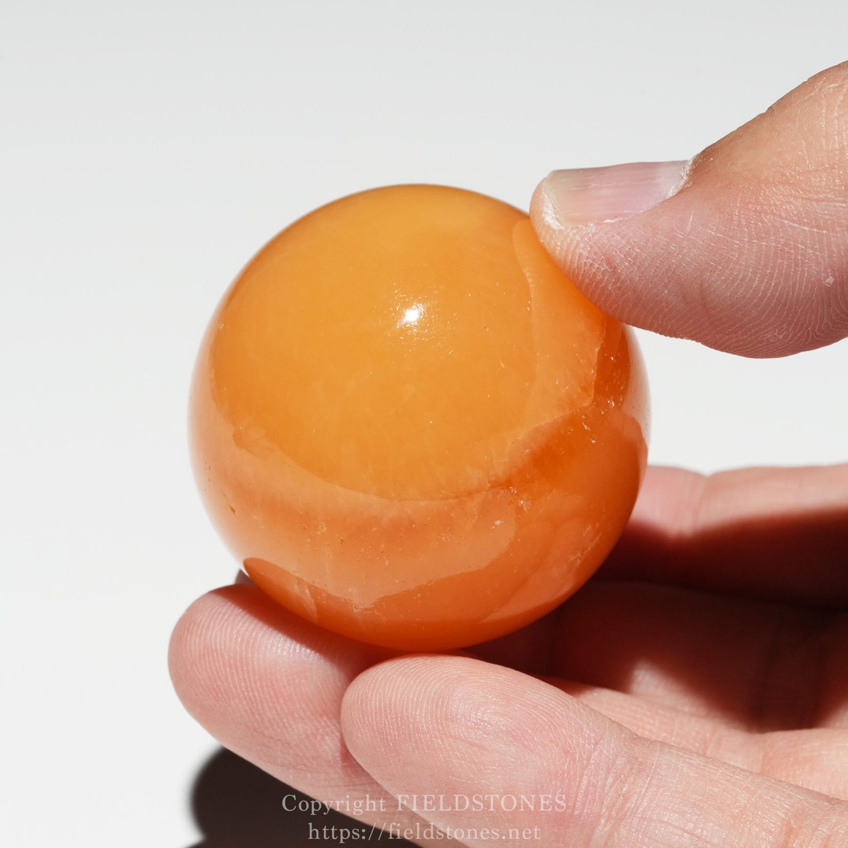 6678-6 - FieldStones Close-up of fingers pinching an orange cherry tomato against a light background, showing glossy skin and a small bite taken.