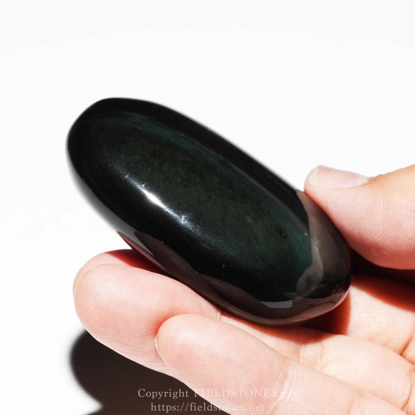 6681-2 - FieldStones Close-up of a smooth, dark green oval stone gripped between a thumb and index finger against a white background