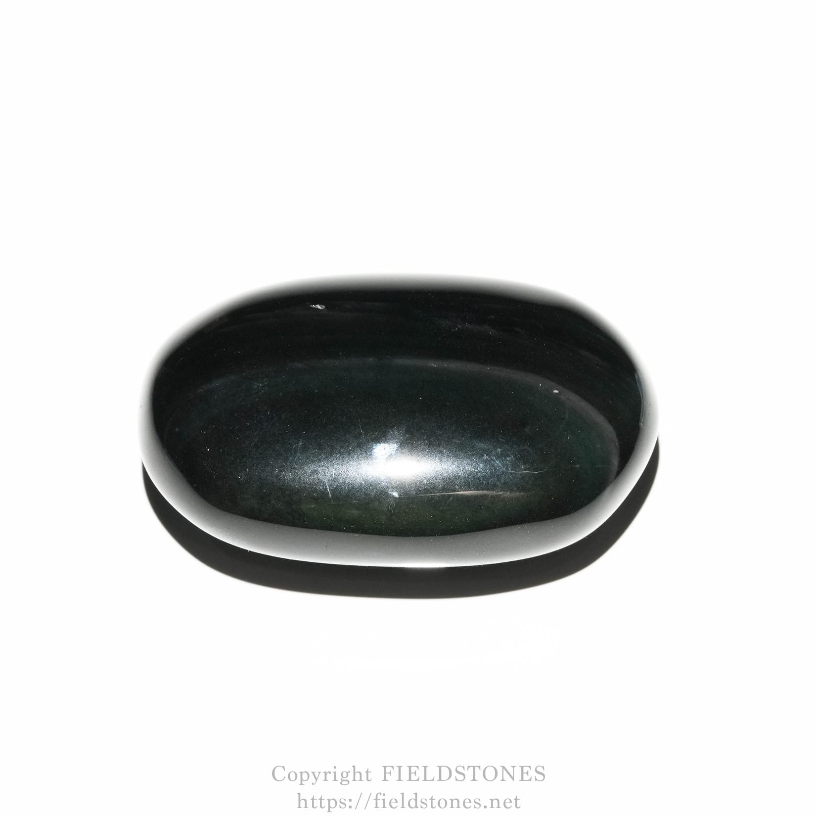 6681-3 - FieldStones Polished black oval stone resting on a white background.