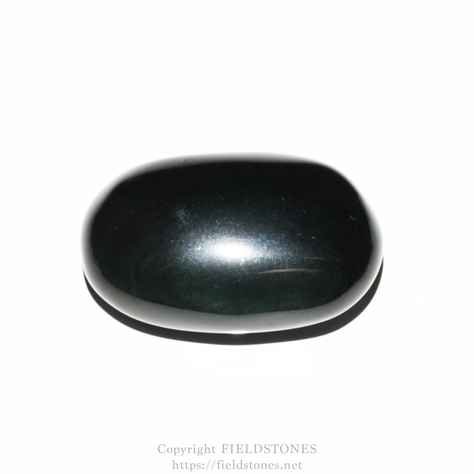 6681-4 - FieldStones Glossy black pebble on a white background with a watermark at the bottom.