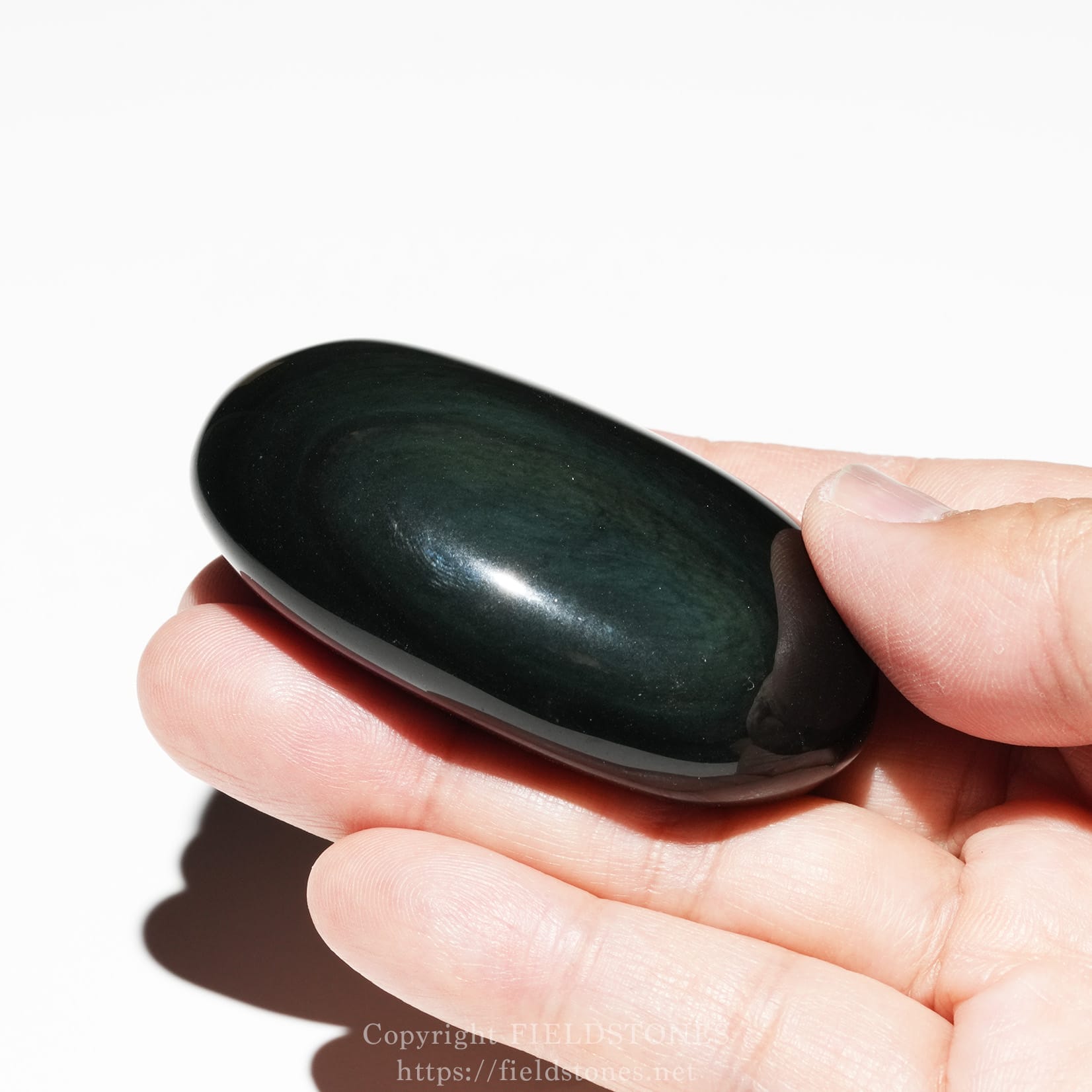 6681-5 - FieldStones Hand holding a smooth, glossy black pebble against a white background.