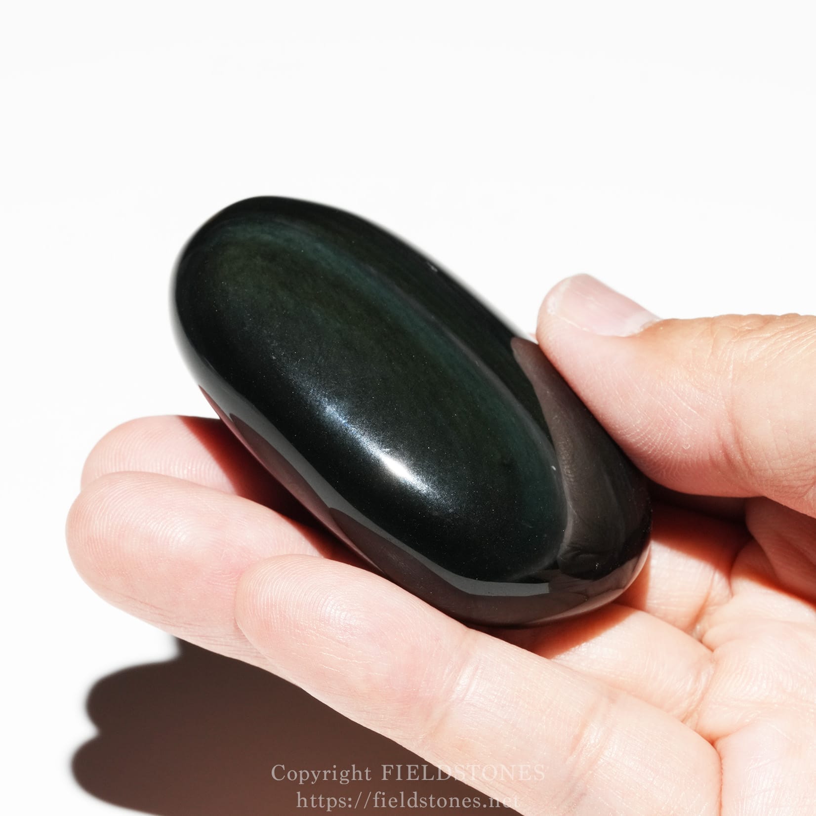 6681-6 - FieldStones Polished dark green–black stone pebble held between two fingers in a close-up shot