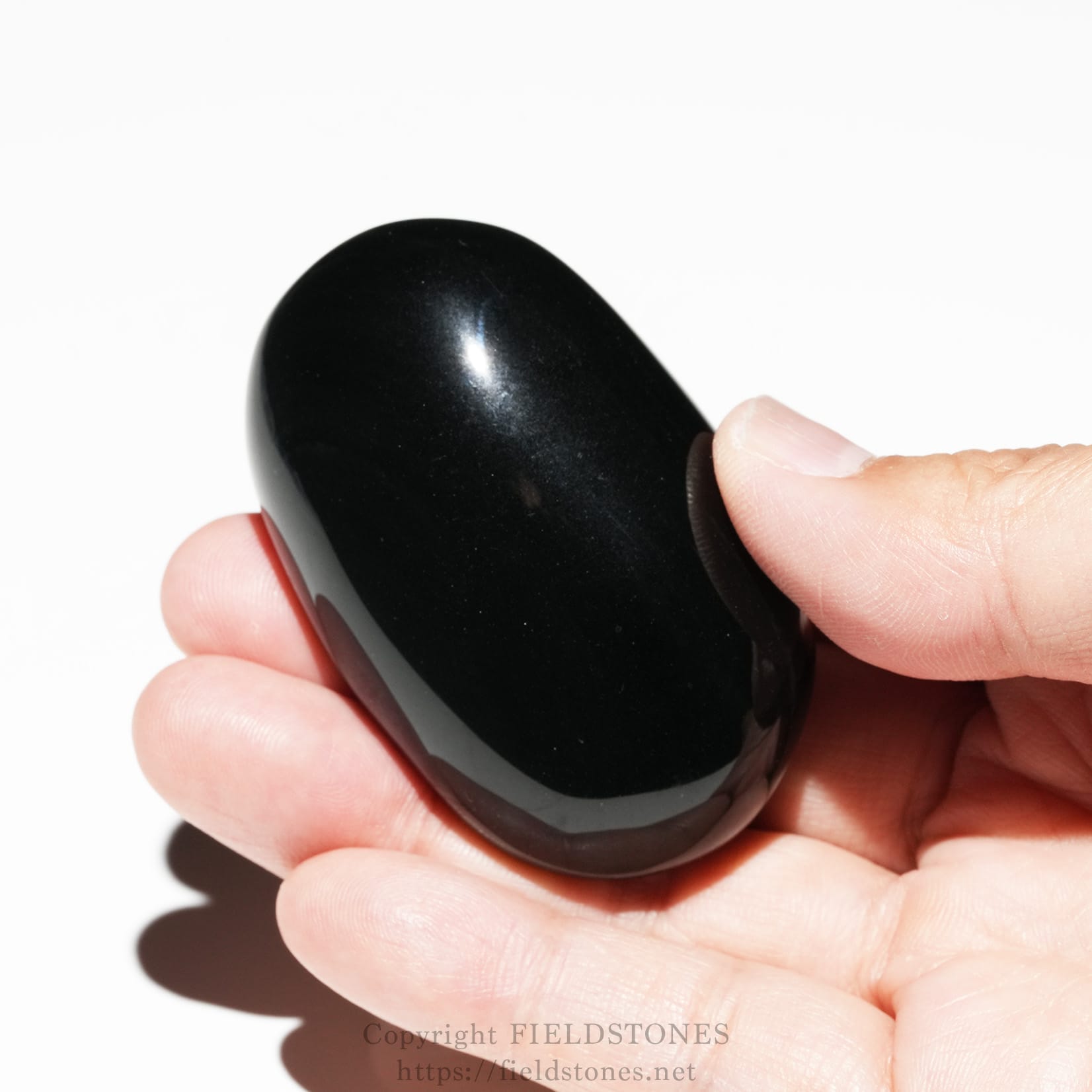 6681-7 - FieldStones Close-up of a person holding a small glossy black ergonomic mouse between their fingers.