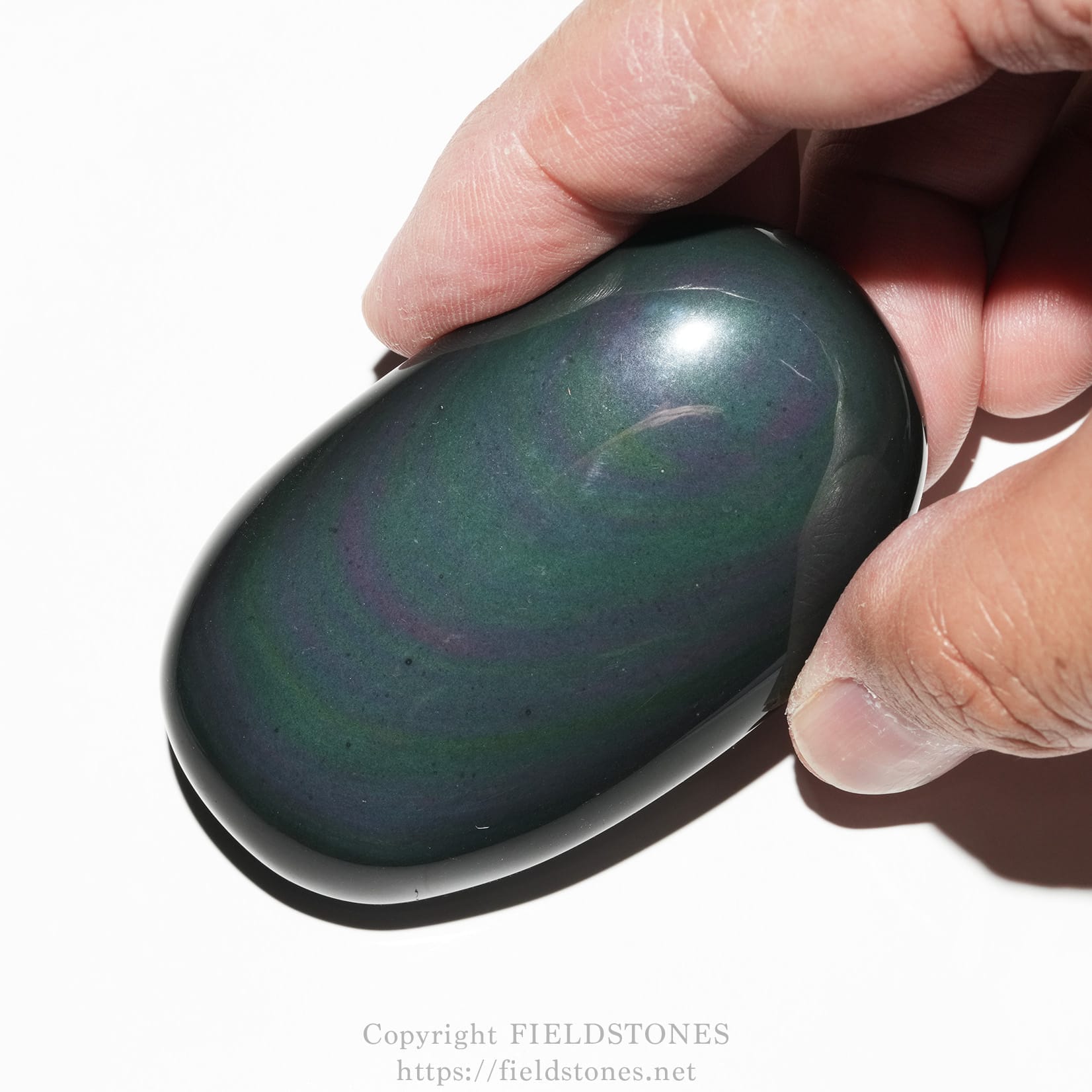 6682-2 - FieldStones Hands holding a glossy dark green oval stone (egg) with reflections on a white background.