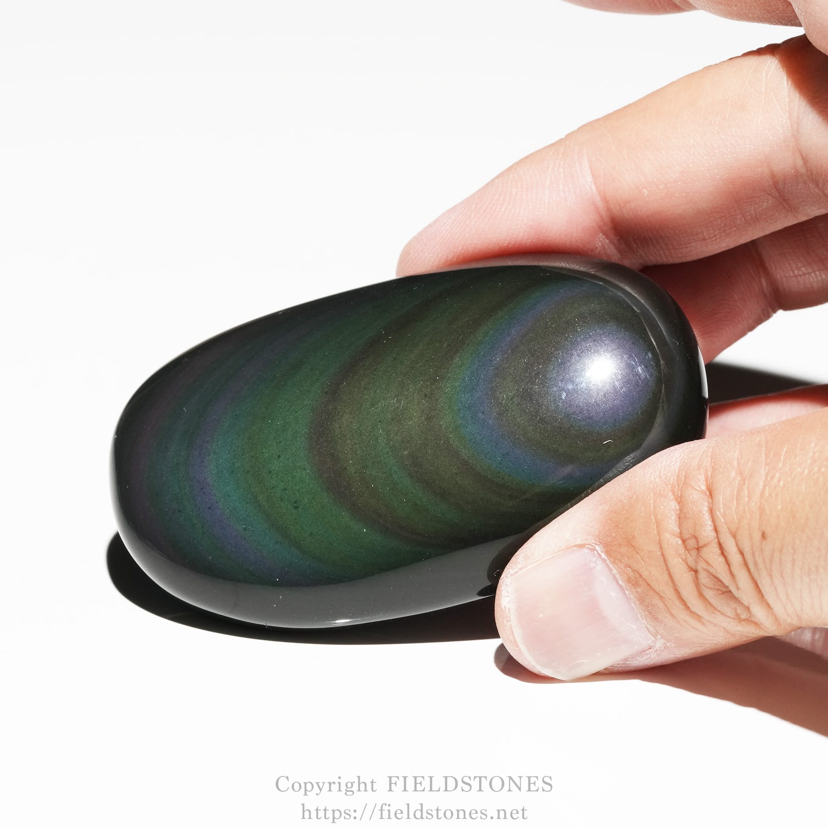 6682-5 - FieldStones Polished, oval palm stone with dark green to black base and blue-green iridescence being held between fingers.