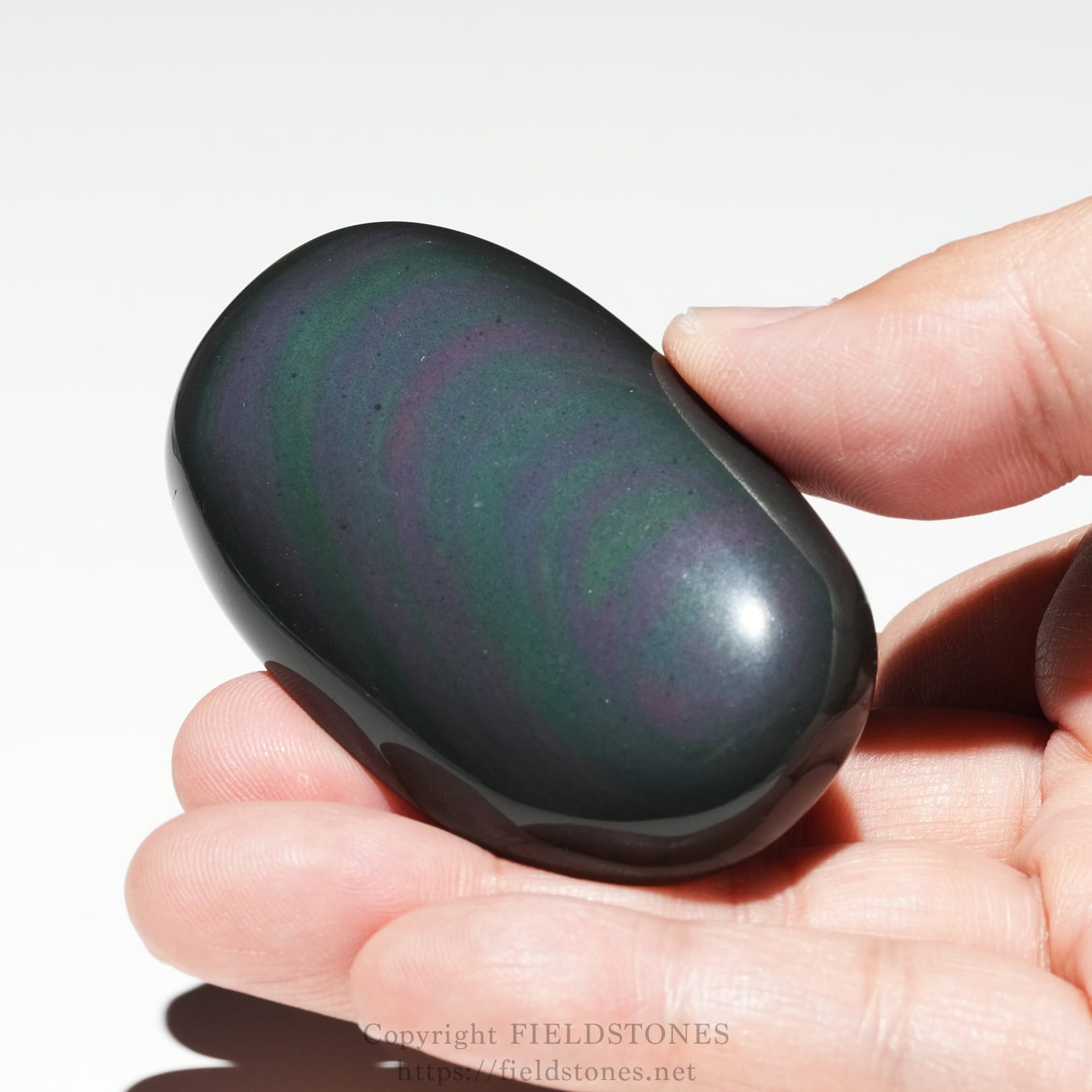 6682-6 - FieldStones Close-up of a dark iridescent stone (green-purple hue) held between fingertips.