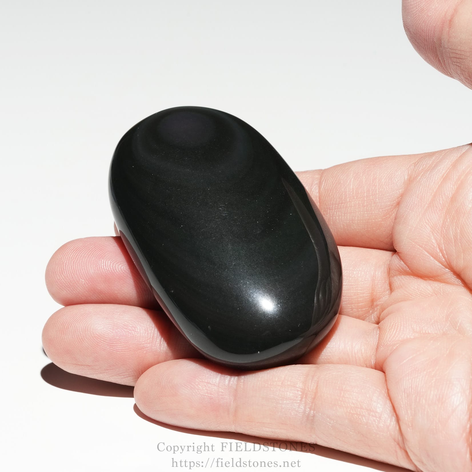6682-7 - FieldStones Close-up of a glossy black oval palm stone held between the thumb and forefinger.