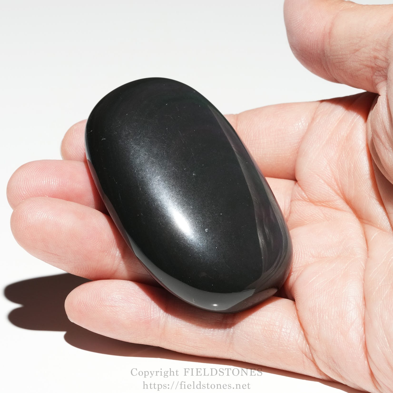 6682-8 - FieldStones Glossy black, oval-shaped polished stone held between thumb and forefinger.