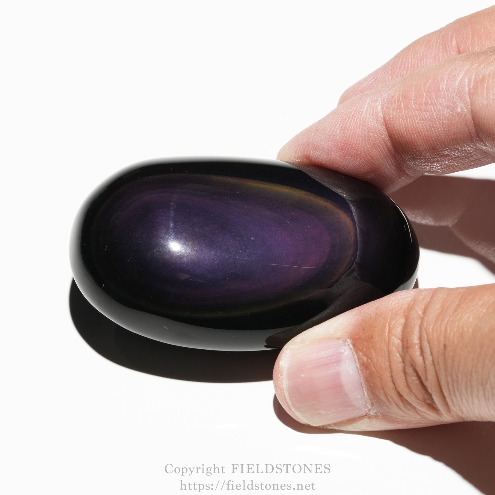6684-3 - FieldStones Glossy, oval purple-black palm stone held between thumb and forefinger; smooth and reflective surface.
