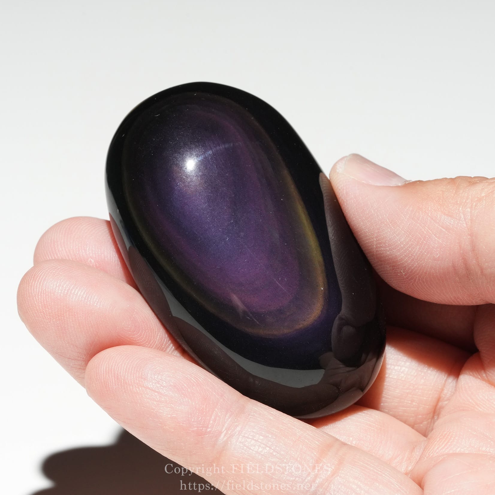 6684-5 - FieldStones Polished dark purple oval palm stone held between two fingers against a light background