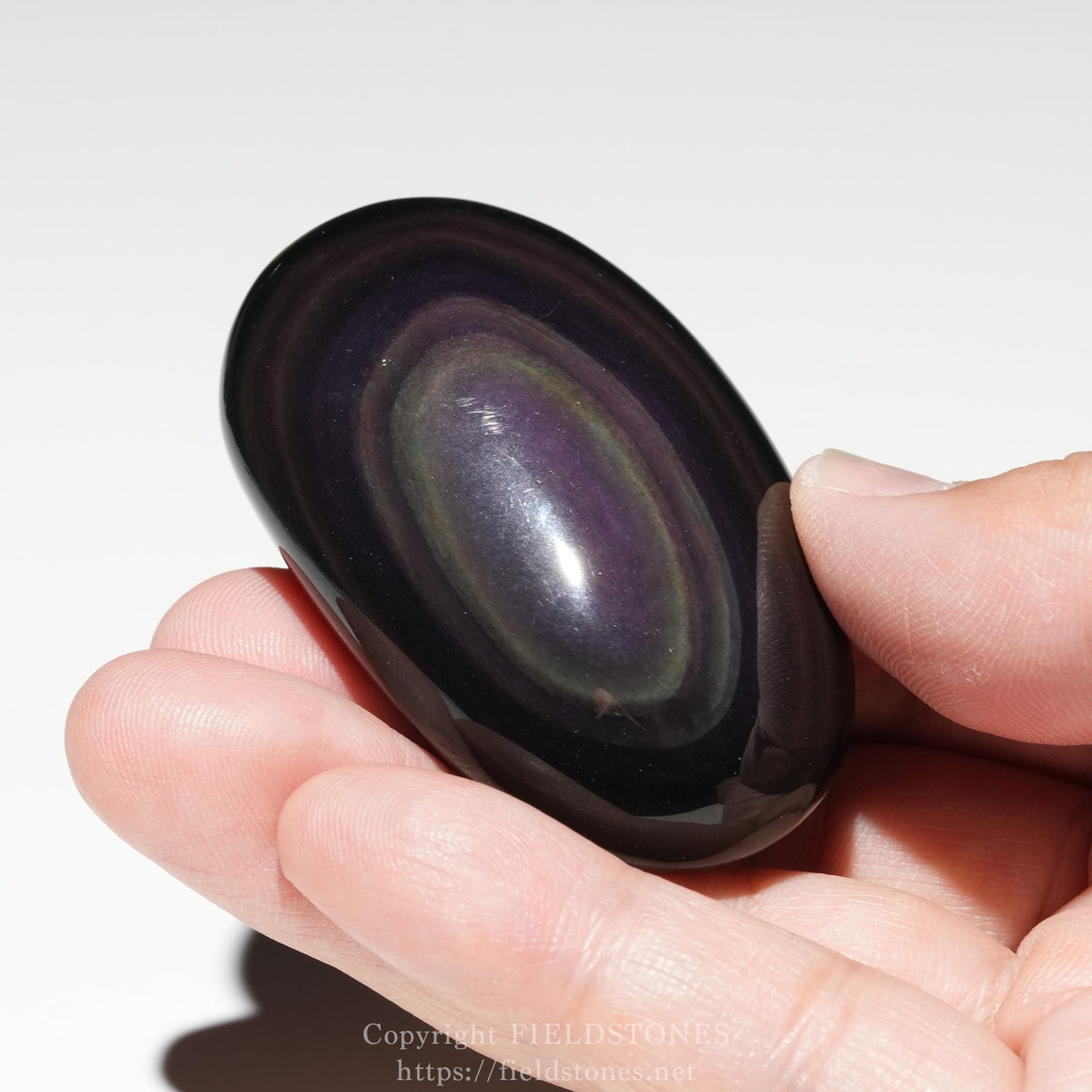 6684-6 - FieldStones Close-up of a dark, oval, polished gemstone with iridescent color bands being held between two fingers.
