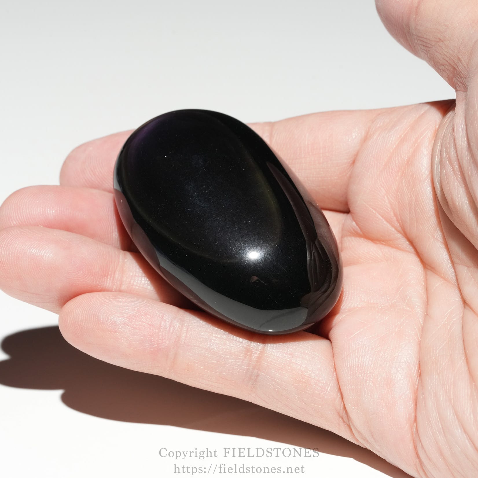 6684-7 - FieldStones Close-up of a glossy black, oval-shaped stone held between a person's fingers.