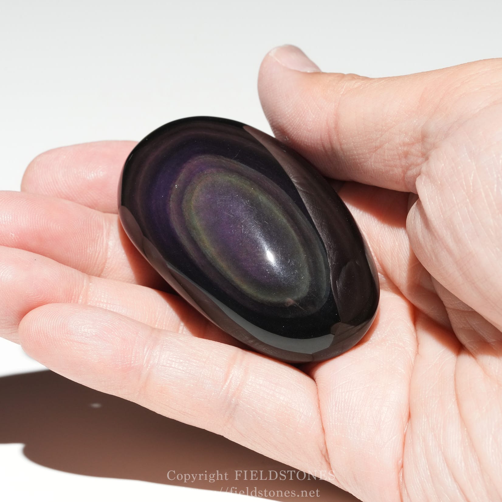6684-8 - FieldStones Polished oval black gemstone with iridescent purple-green sheen held between two hands in a close-up.
