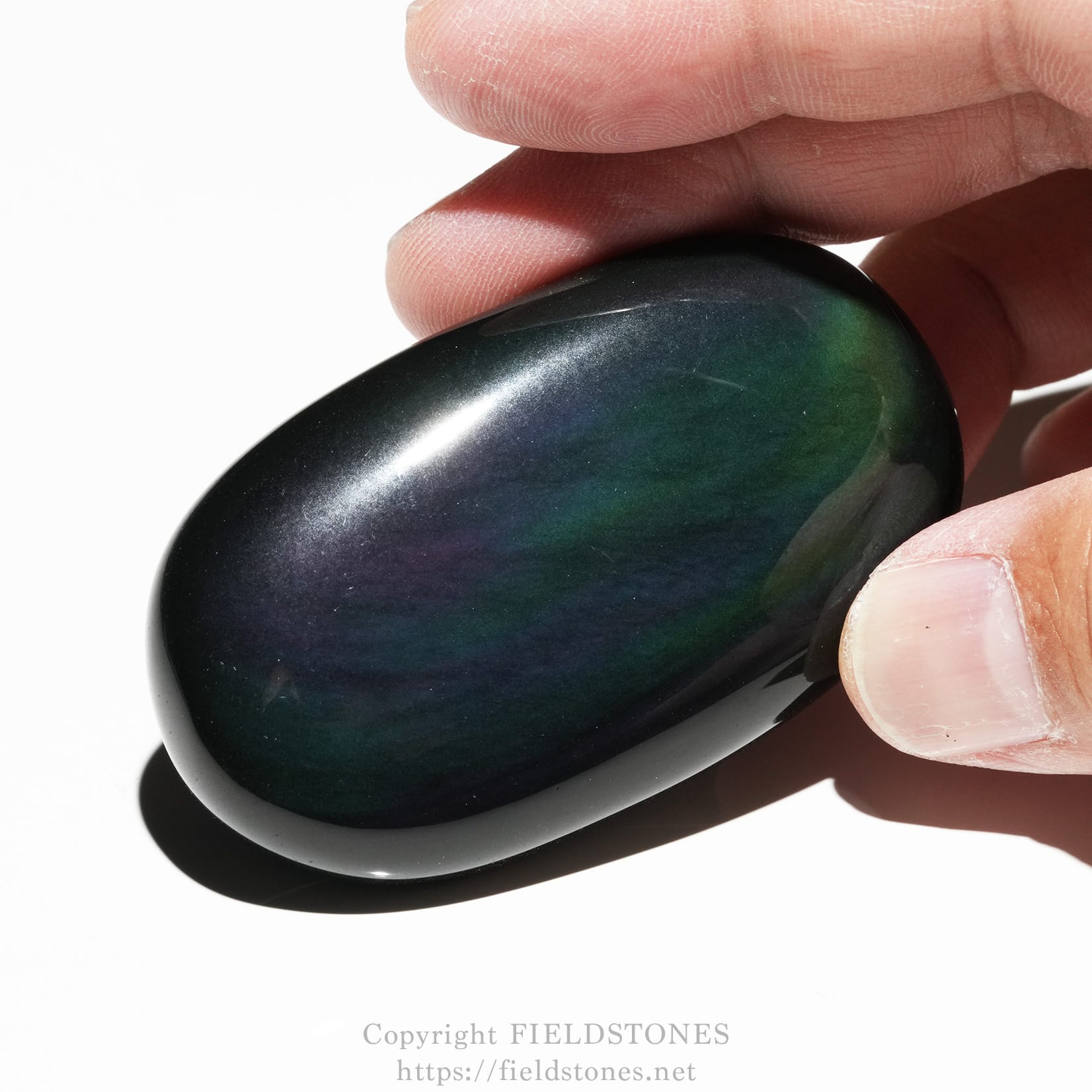 6685-1 - FieldStones Close-up of a glossy dark palm stone held between fingers, showing iridescent green-blue hues