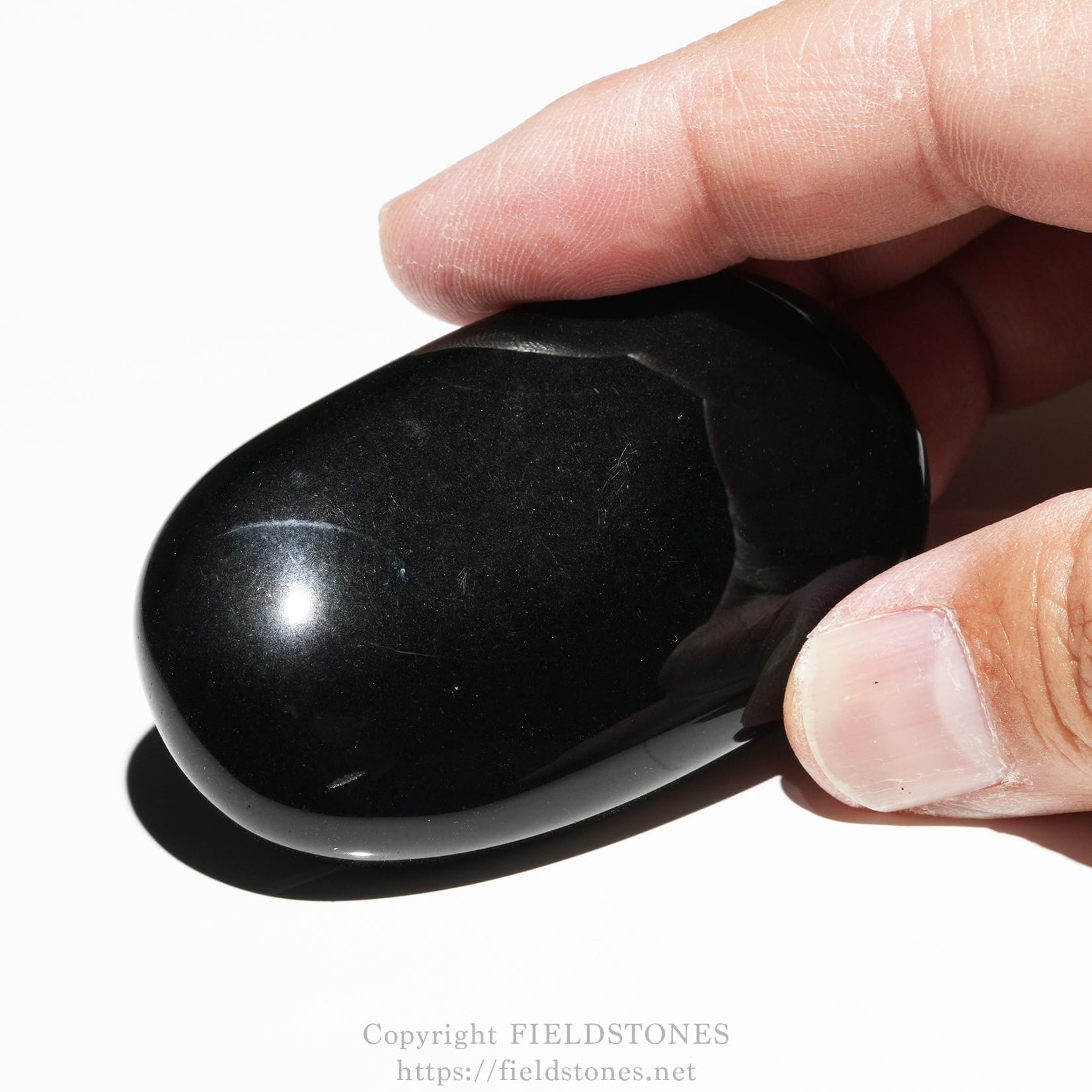6685-2 - FieldStones Close-up of a glossy black stone being held between two fingers.
