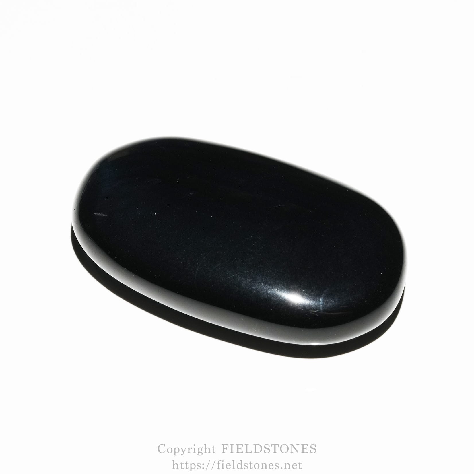 6685-4 - FieldStones Polished black oval stone with a glossy finish on a white background, showing a light white rim.