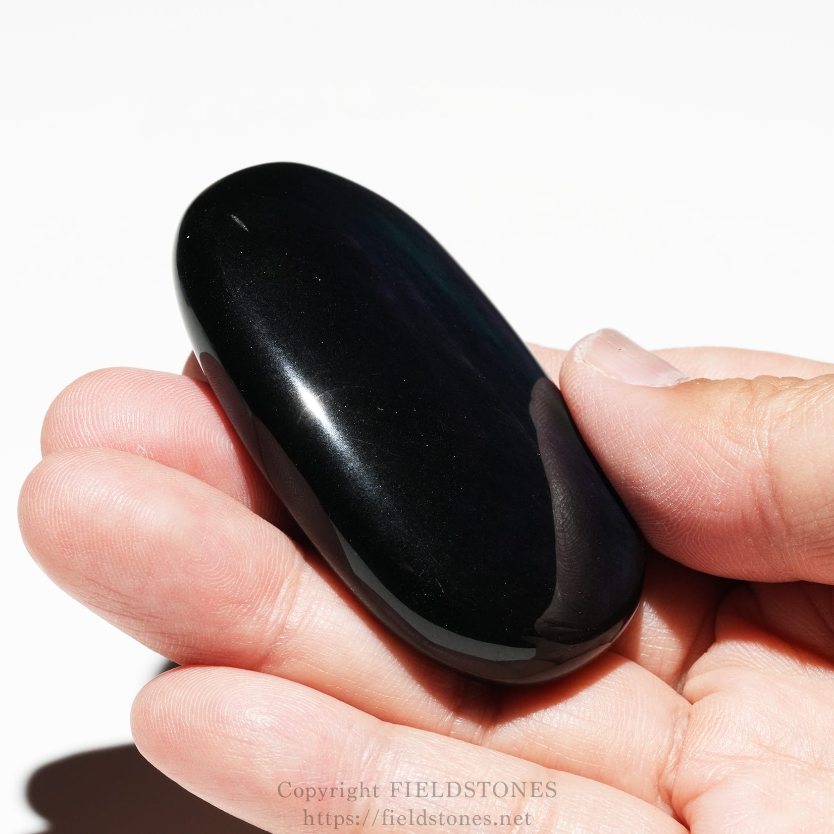 6685-6 - FieldStones Close-up of a glossy black stone held between two fingers against a white background.