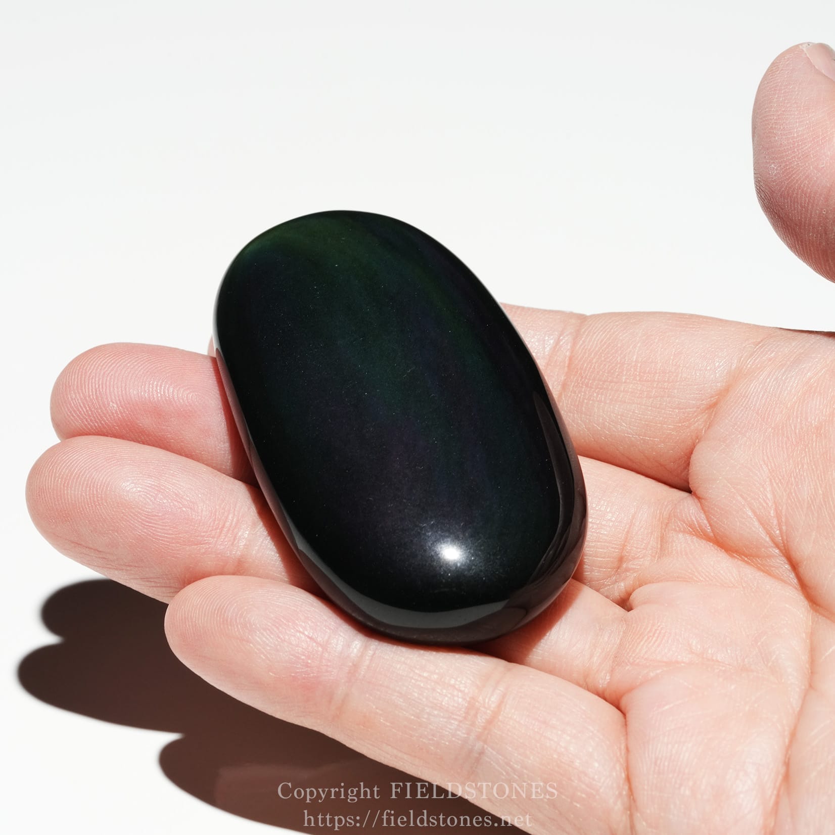 6685-7 - FieldStones Glossy, dark green–black oval palm stone held between fingers in a close-up view.