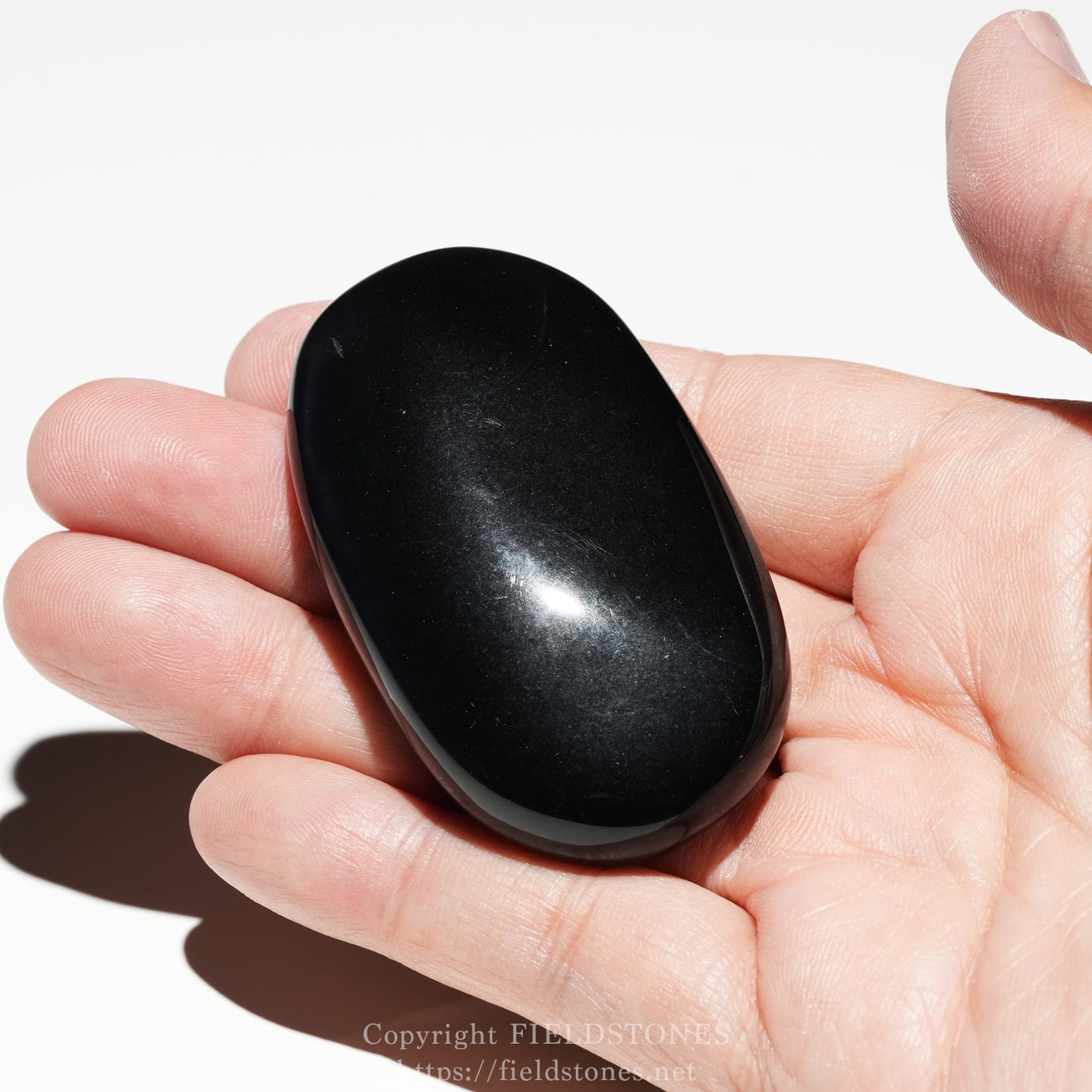 6685-8 - FieldStones Close-up of a hand pinching a smooth, glossy black oval stone between the fingers.
