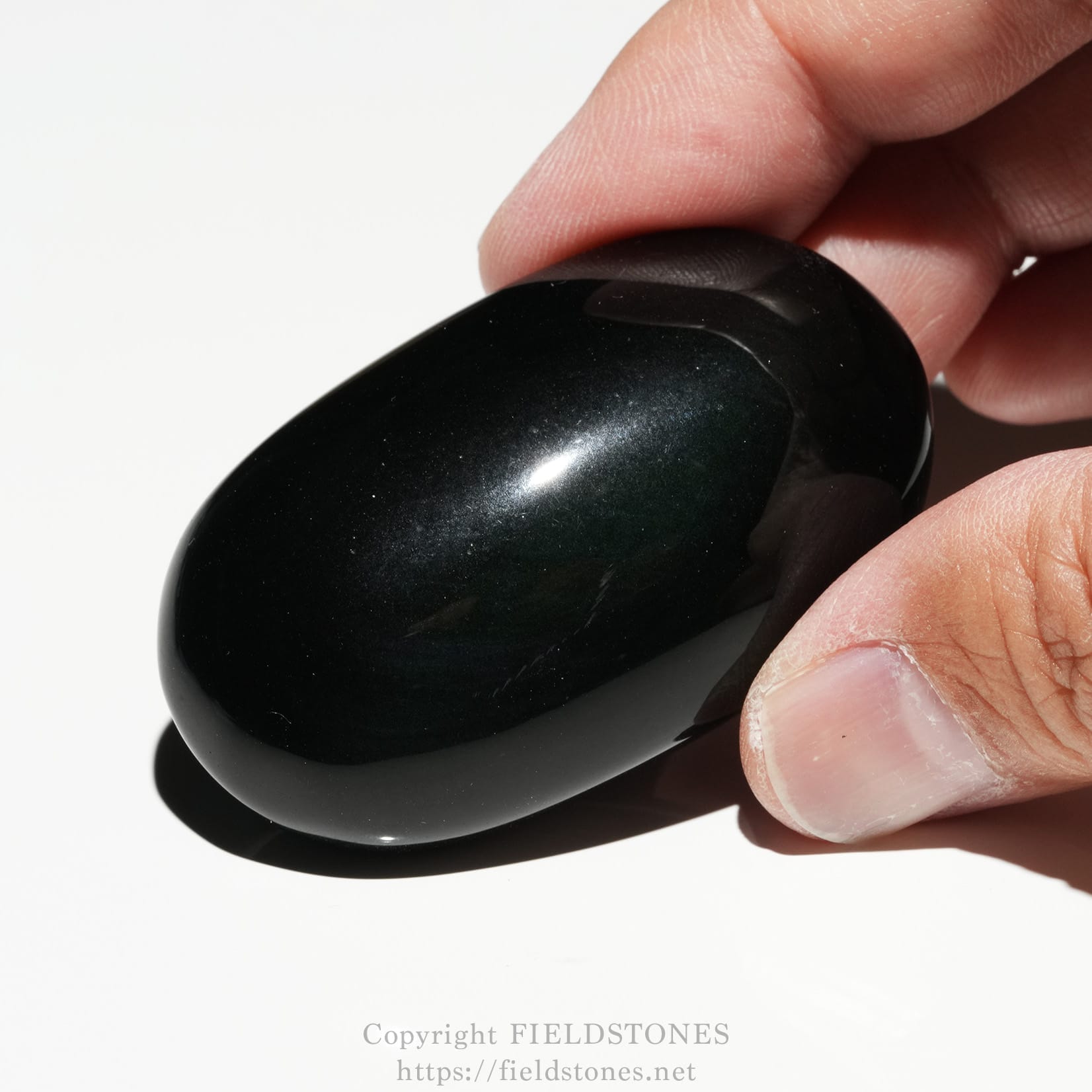 6686-2 - FieldStones Close-up of a hand pinching a smooth, glossy black stone against a white background.