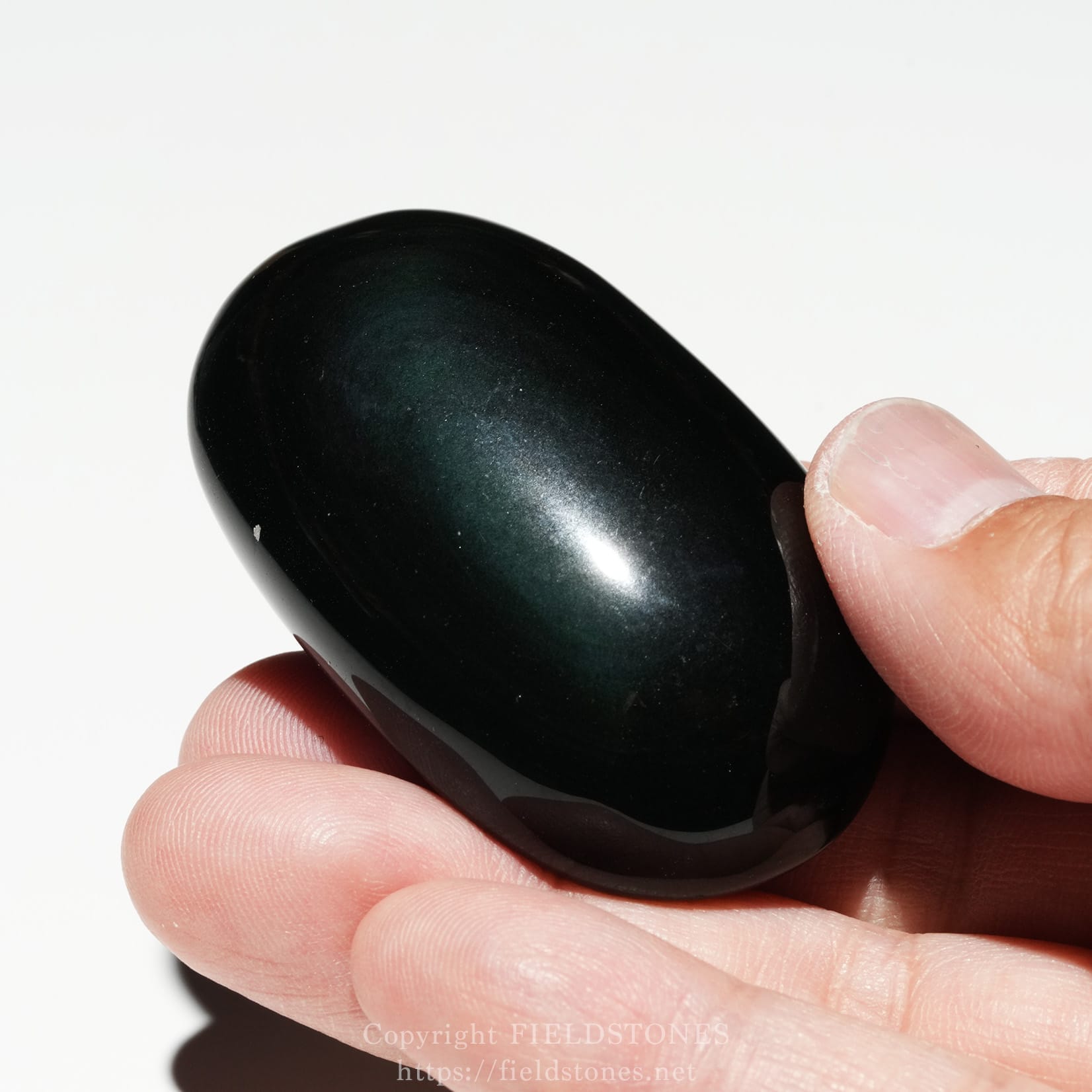 6686-3 - FieldStones Close-up of a hand holding a smooth, glossy, egg-shaped black stone against a pale background.