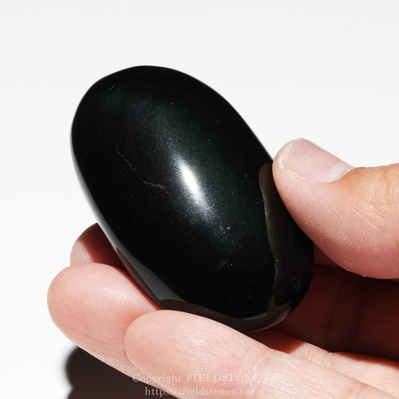 6686-4 - FieldStones Close-up of a glossy black stone held between a thumb and forefinger, against a white background.