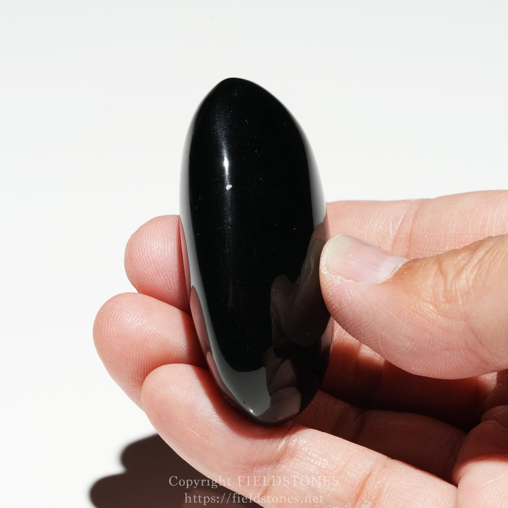 6686-5 - FieldStones Glossy black oval stone held between the thumb and index finger.
