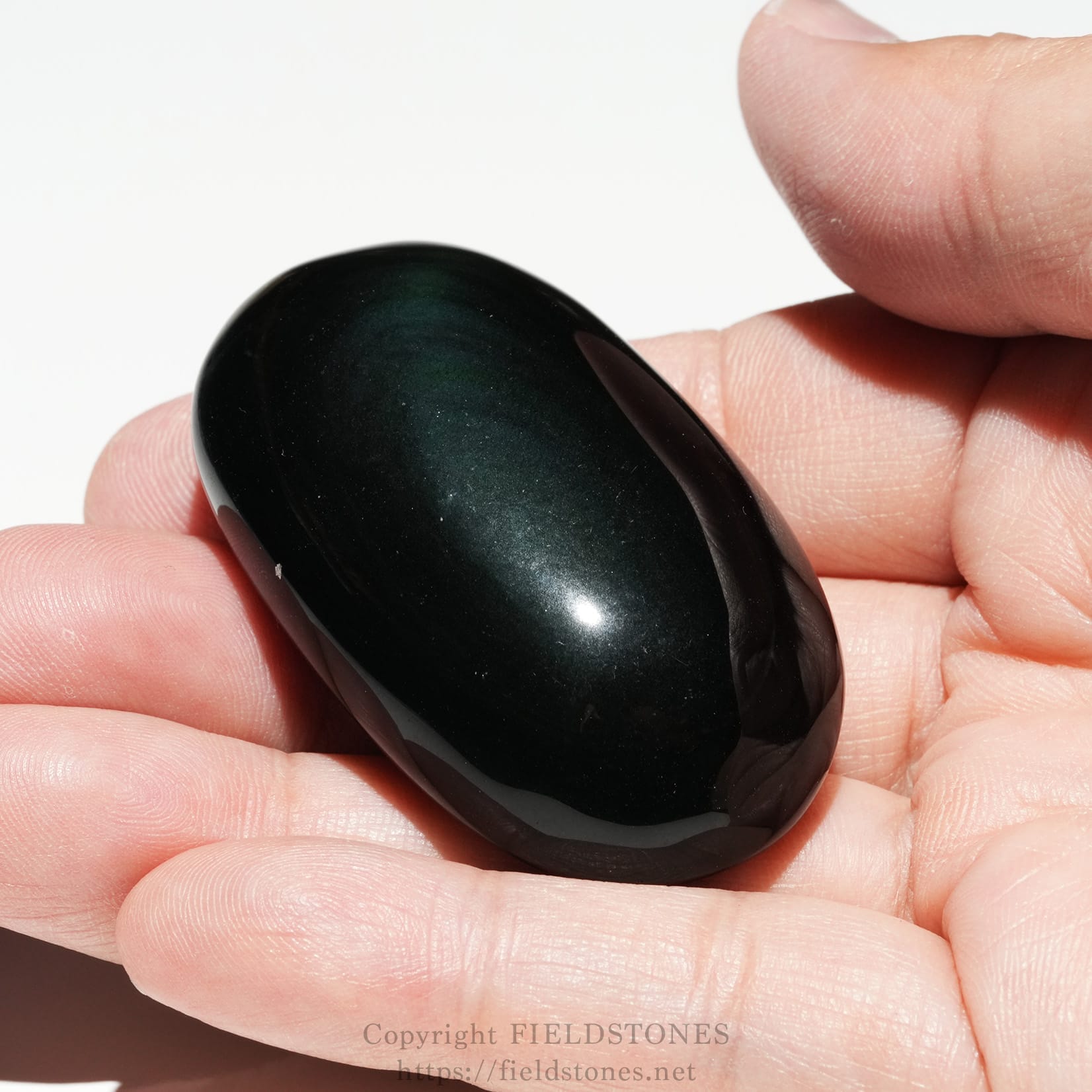 6686-6 - FieldStones Glossy black oval gemstone held between fingertips, showing a smooth, polished surface