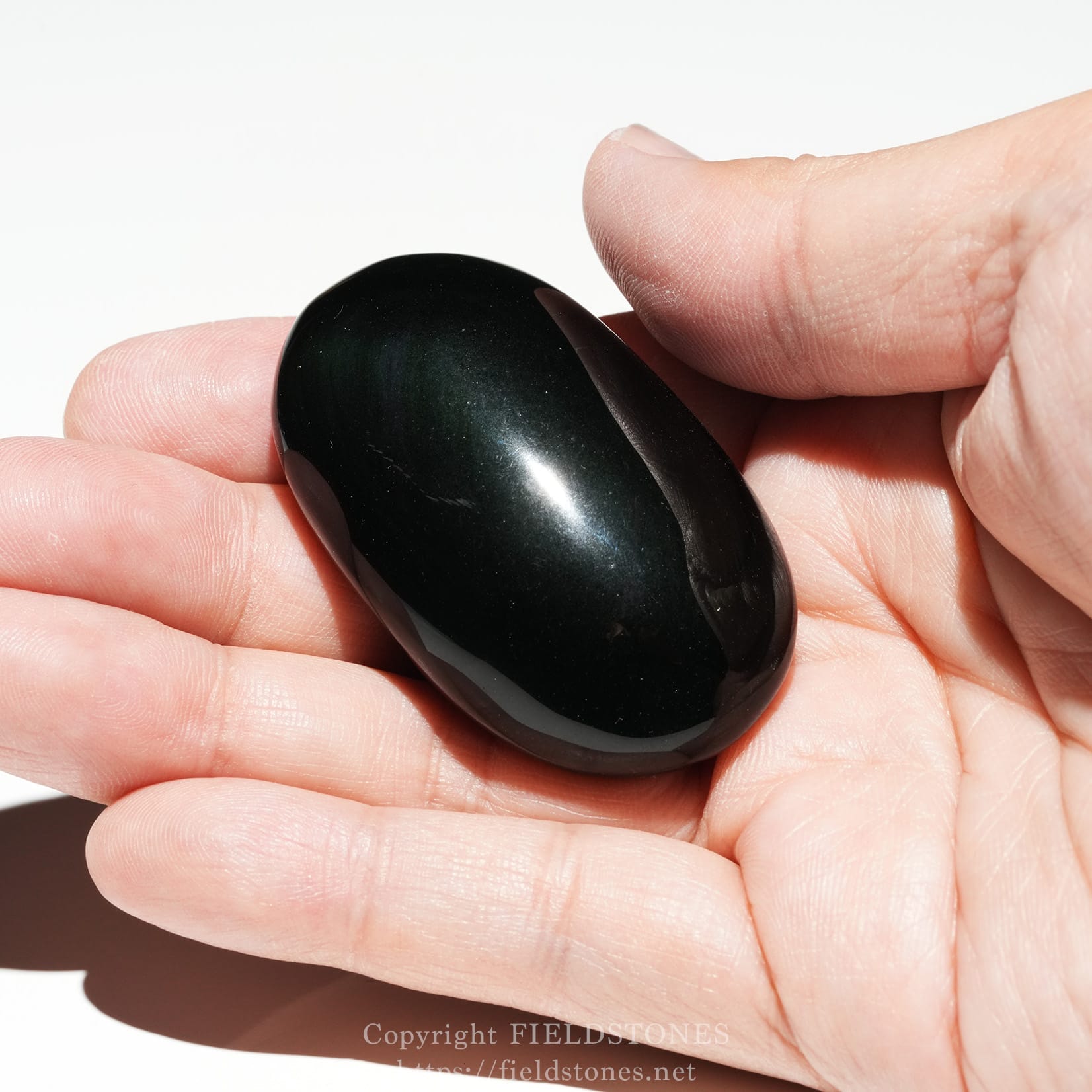6686-7 - FieldStones Glossy black oval stone held between thumb and fingers, close view of the hand and stone surface