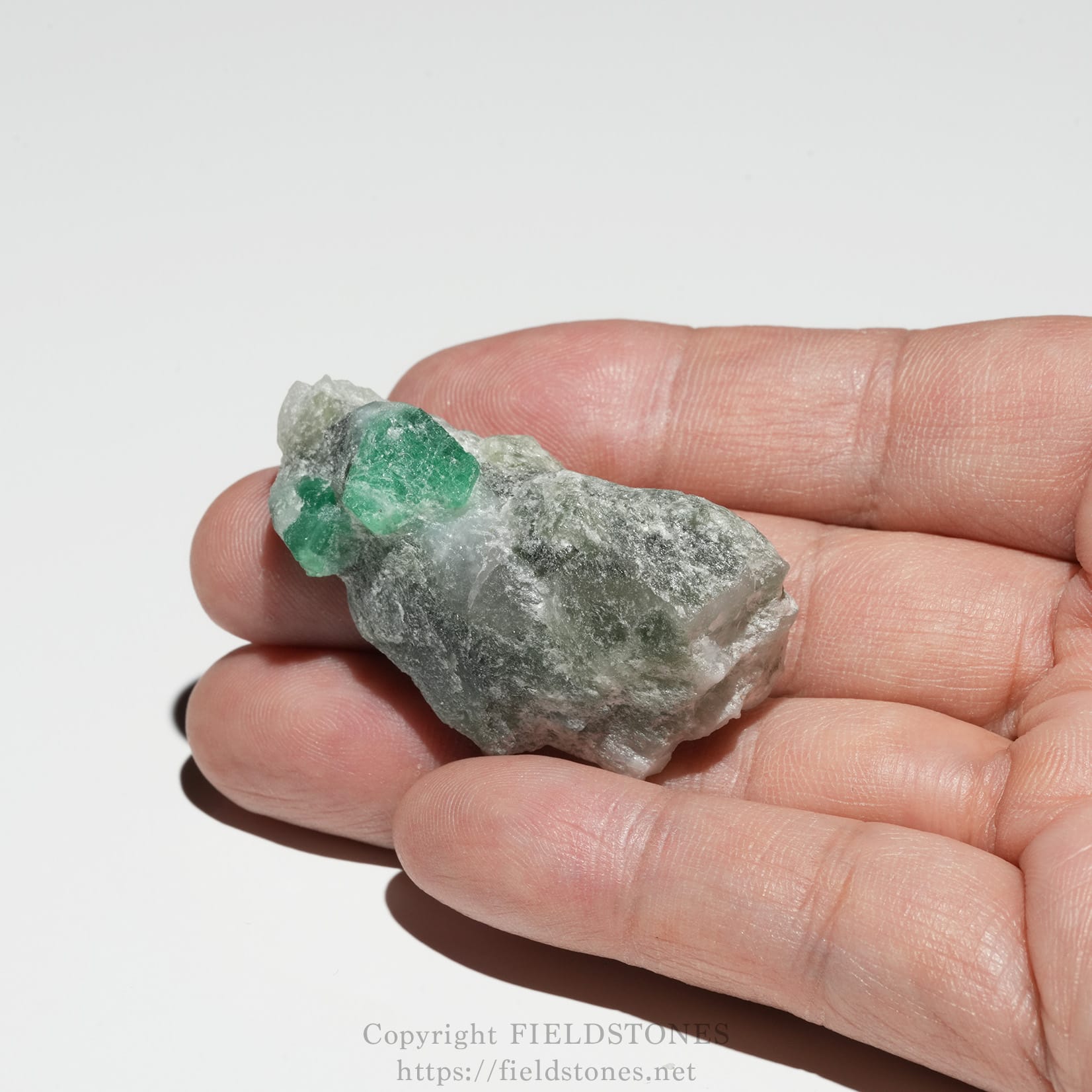 6696-10 - FieldStones Hand holding a small rock sample with bright green crystals embedded in a gray matrix between two fingers.