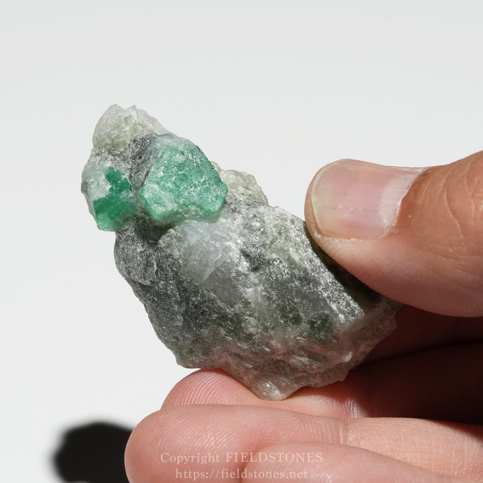 6696-7 - FieldStones Close-up of a rough emerald crystal attached to gray rock, held between fingers.