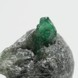 Bright emerald-green crystal protruding from a rough gray rock, close-up detail visible on white background