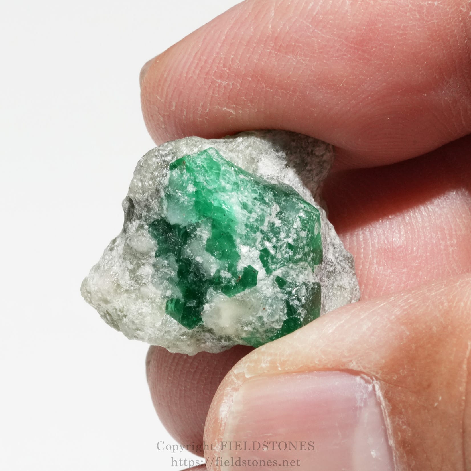 6700-7 - FieldStones Green emerald crystal embedded in gray rock, being held between fingers for scale and inspection