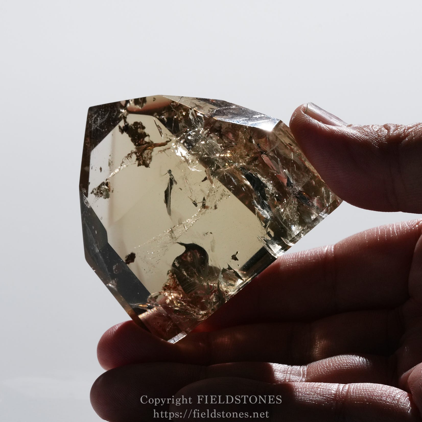6708-10 - FieldStones A hand holds a large, clear faceted crystal catching light against a pale background.