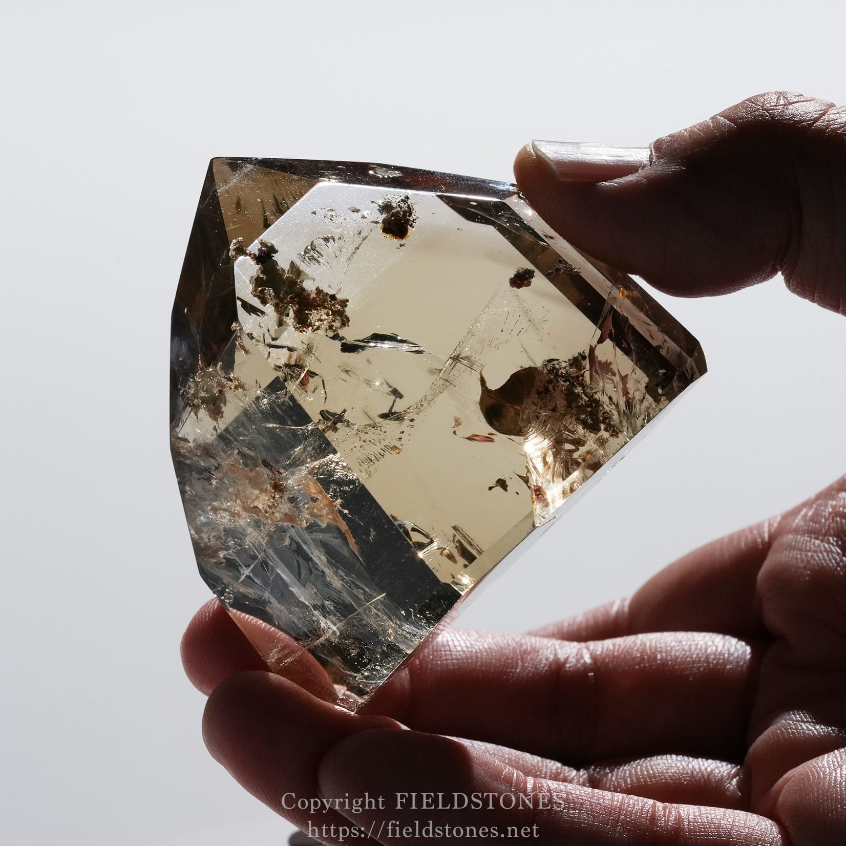6708-8 - FieldStones Close-up of a hand holding a large clear quartz crystal with brown inclusions.