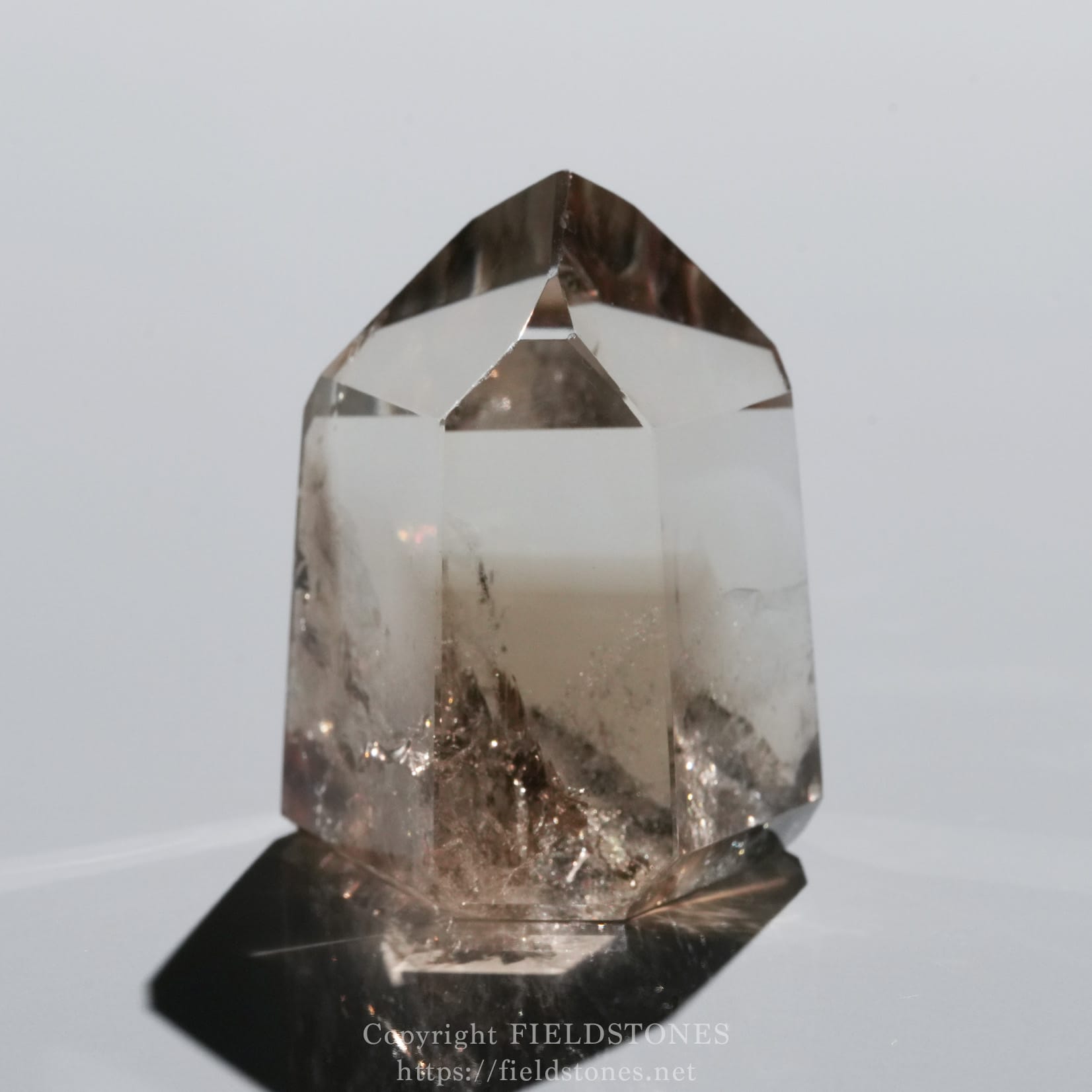 6710-6 - FieldStones Clear quartz crystal point standing upright on a black base, photographed closely against a light background.