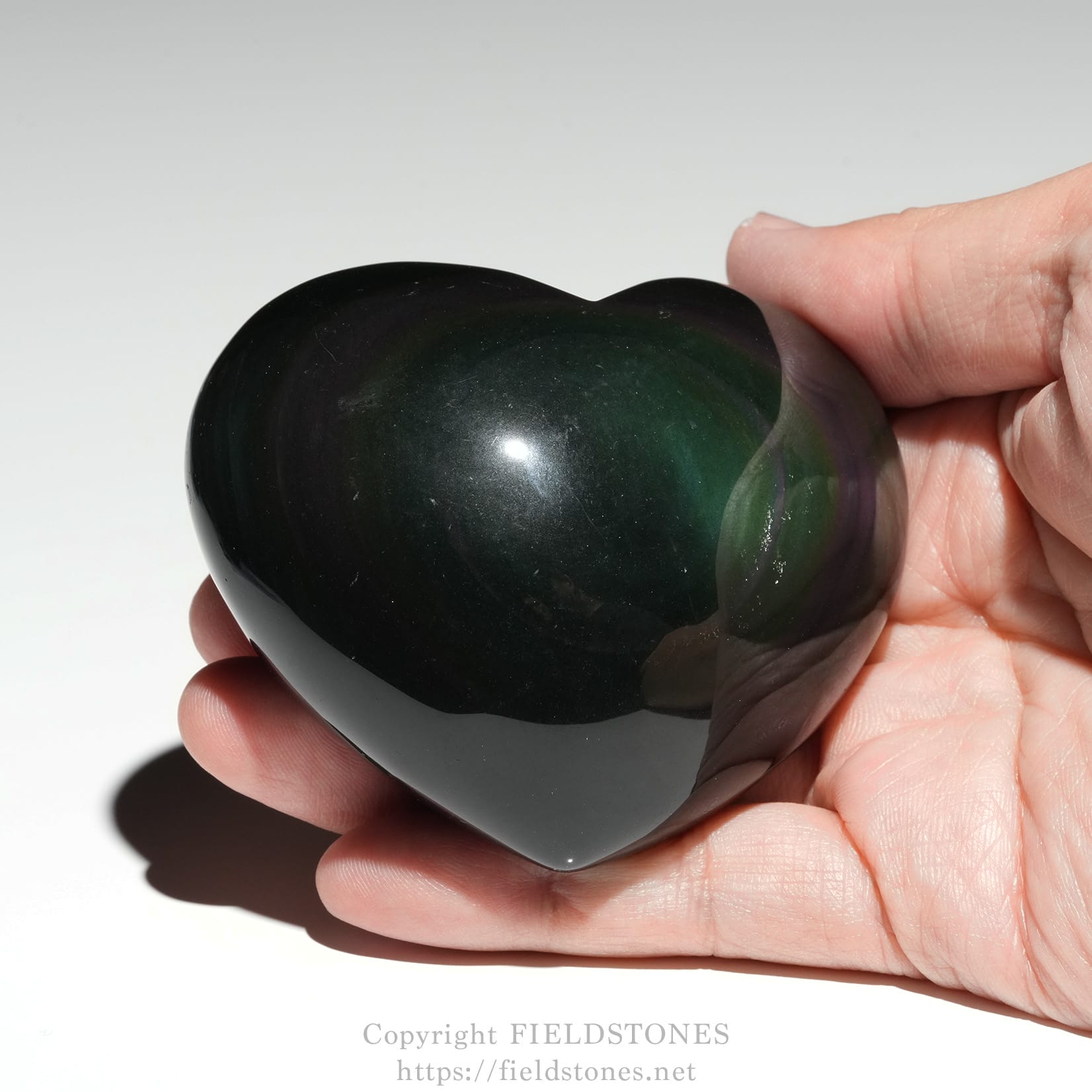6711-5 - FieldStones A glossy, dark heart-shaped stone held between fingertips against a light gray background.