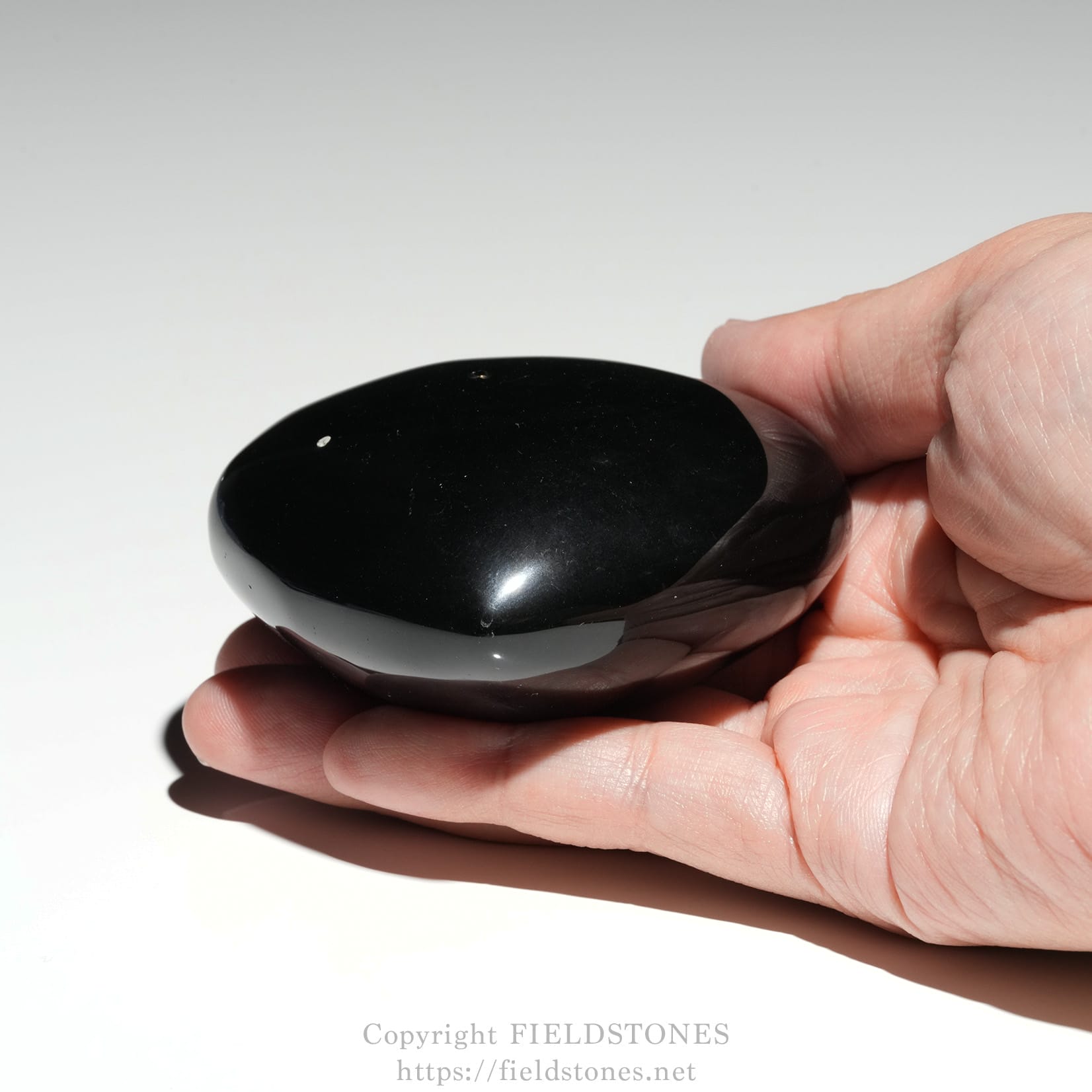 6711-8 - FieldStones Close-up of a hand holding a smooth, oval black stone against a light background.